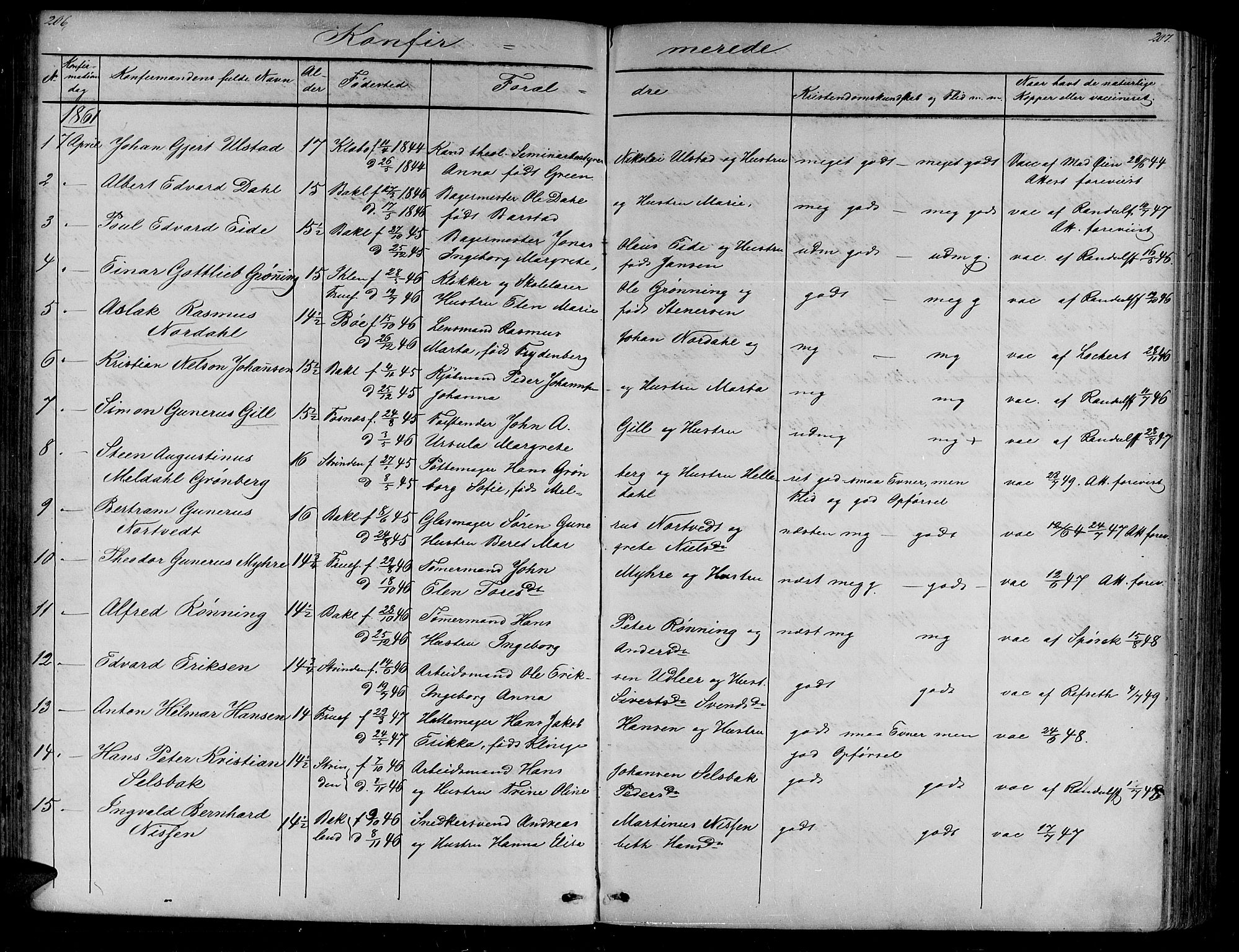 Ministerialprotokoller, klokkerbøker og fødselsregistre - Sør-Trøndelag, SAT/A-1456/604/L0219: Parish register (copy) no. 604C02, 1851-1869, p. 206-207