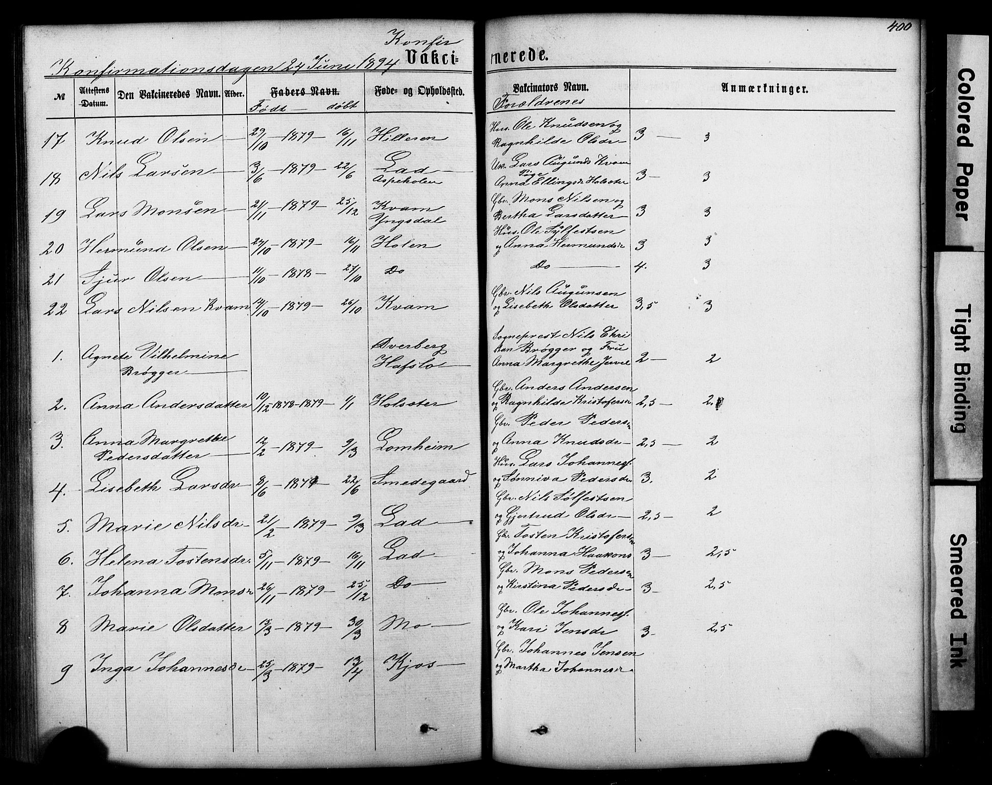 Hafslo sokneprestembete, SAB/A-80301/H/Hab/Haba/L0001: Parish register (copy) no. A 1, 1866-1908, p. 400