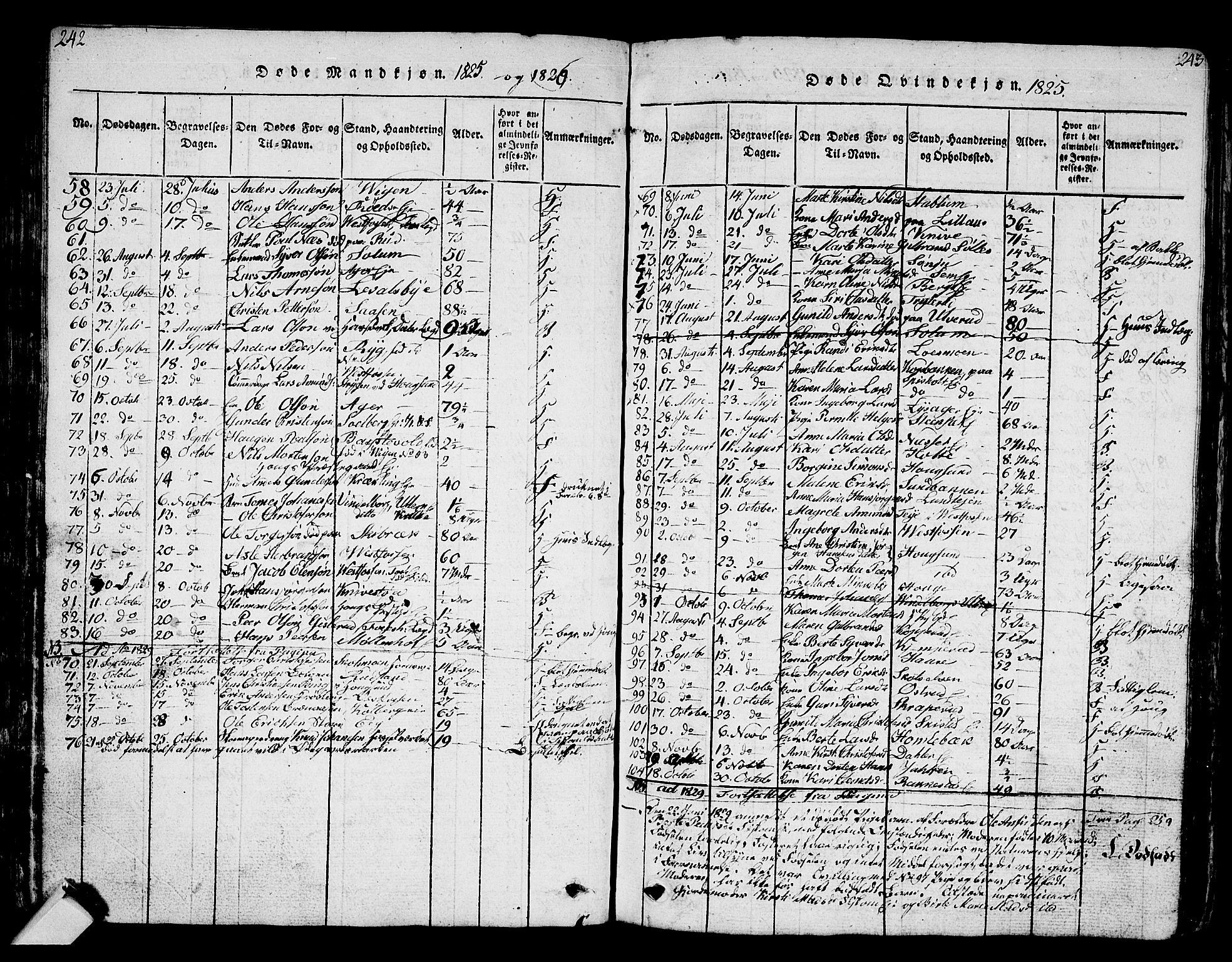 Eiker kirkebøker, AV/SAKO-A-4/G/Ga/L0001: Parish register (copy) no. I 1, 1814-1832, p. 242-243