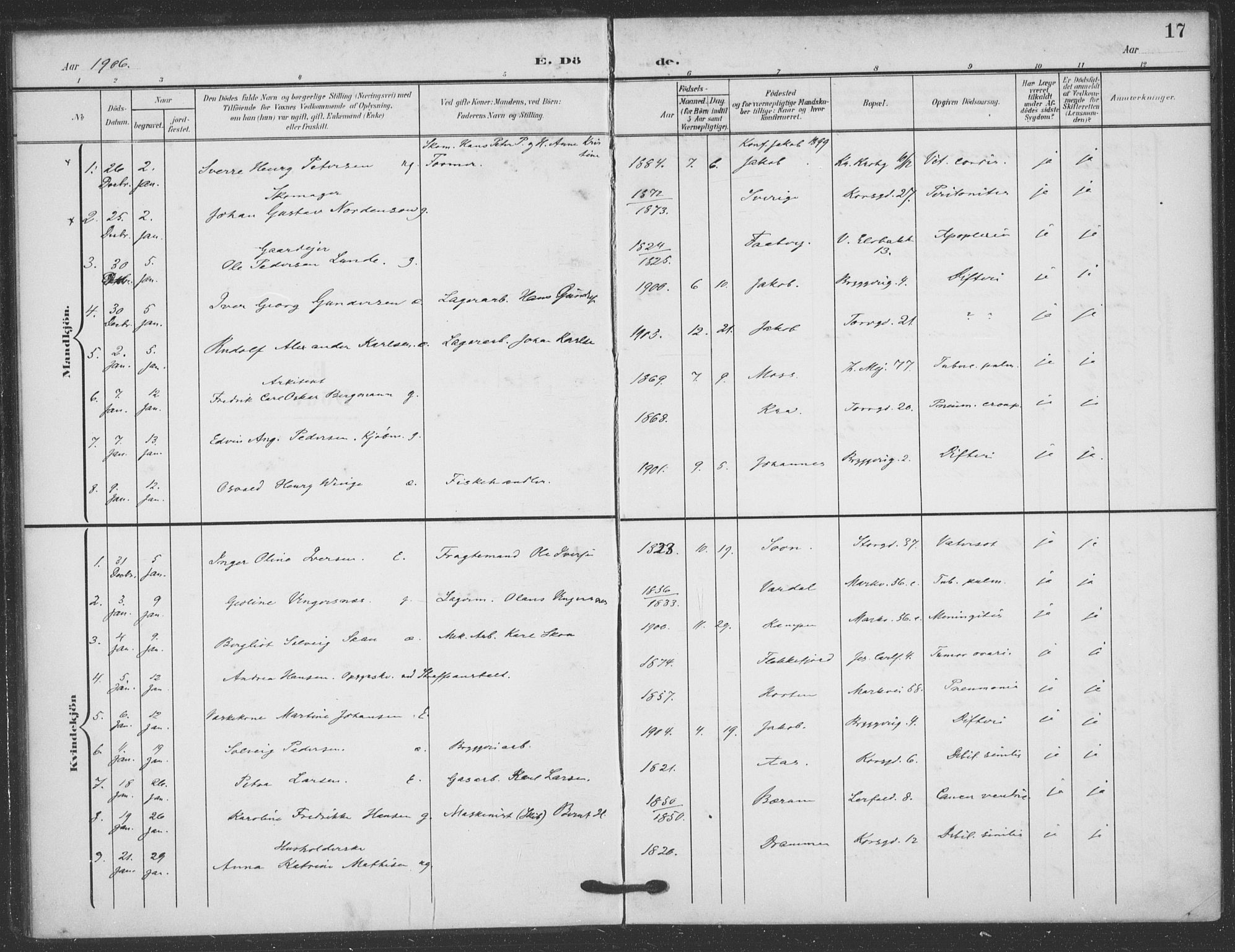 Jakob prestekontor Kirkebøker, SAO/A-10850/F/Fa/L0011: Parish register (official) no. 11, 1906-1920, p. 17