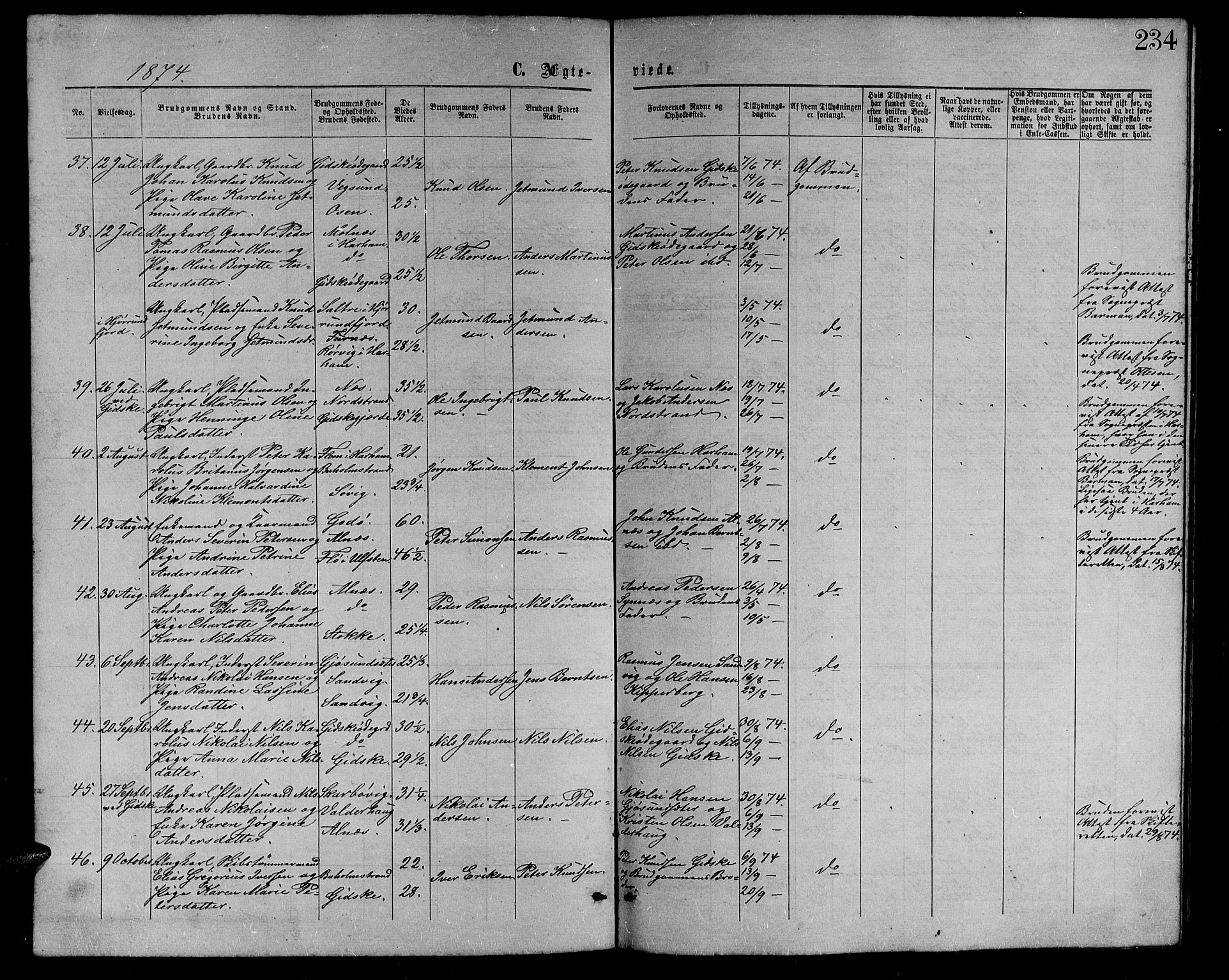 Ministerialprotokoller, klokkerbøker og fødselsregistre - Møre og Romsdal, AV/SAT-A-1454/528/L0428: Parish register (copy) no. 528C09, 1864-1880, p. 234