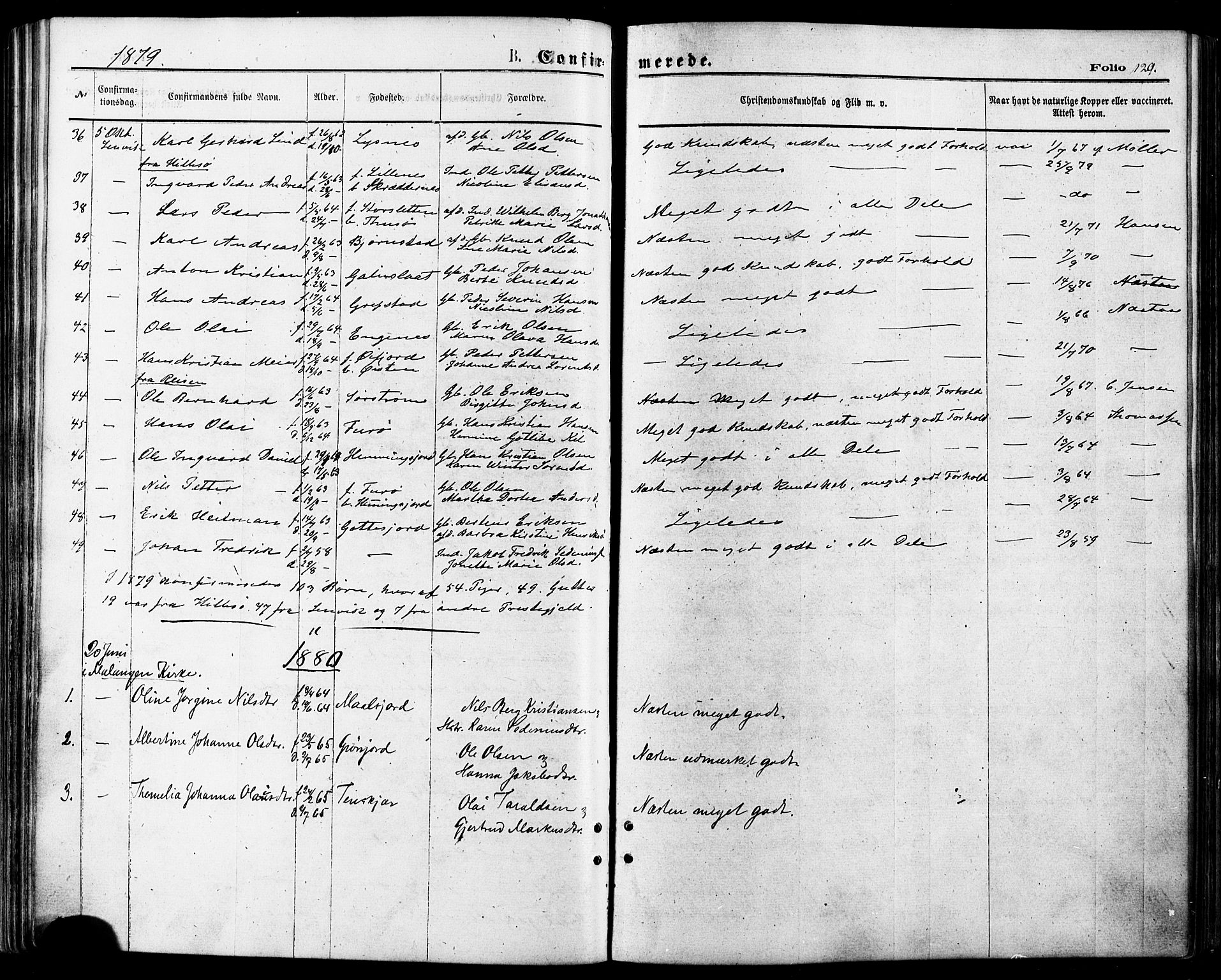 Lenvik sokneprestembete, SATØ/S-1310/H/Ha/Haa/L0010kirke: Parish register (official) no. 10, 1873-1880, p. 129