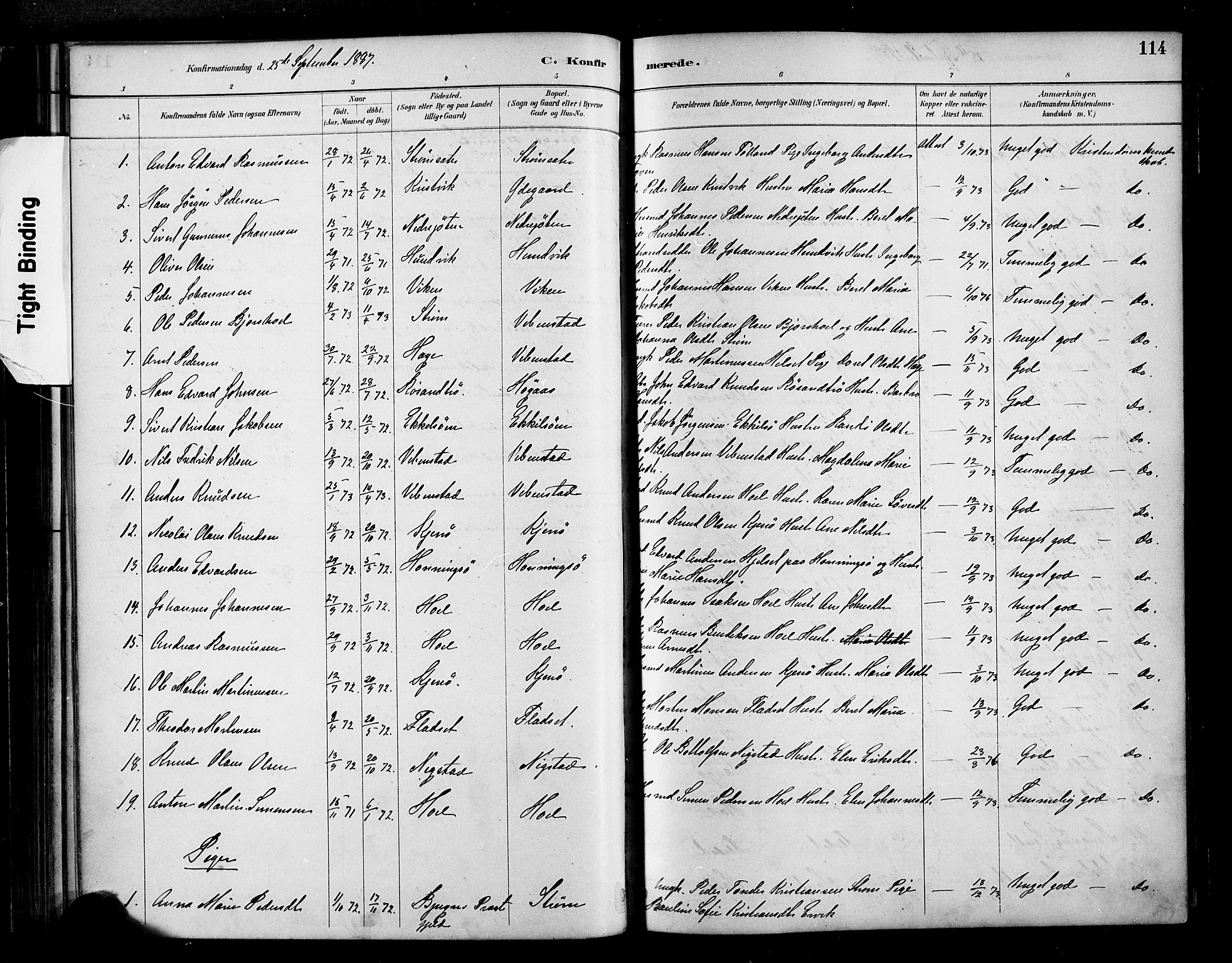 Ministerialprotokoller, klokkerbøker og fødselsregistre - Møre og Romsdal, SAT/A-1454/569/L0819: Parish register (official) no. 569A05, 1885-1899, p. 114