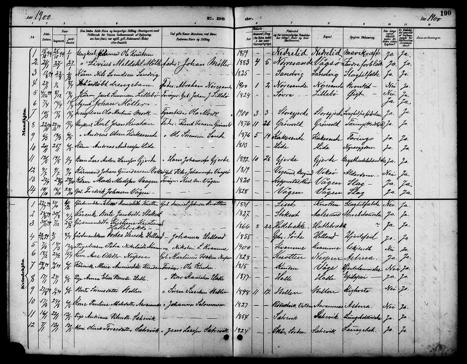 Ministerialprotokoller, klokkerbøker og fødselsregistre - Møre og Romsdal, AV/SAT-A-1454/503/L0049: Parish register (copy) no. 503C04, 1894-1915, p. 199