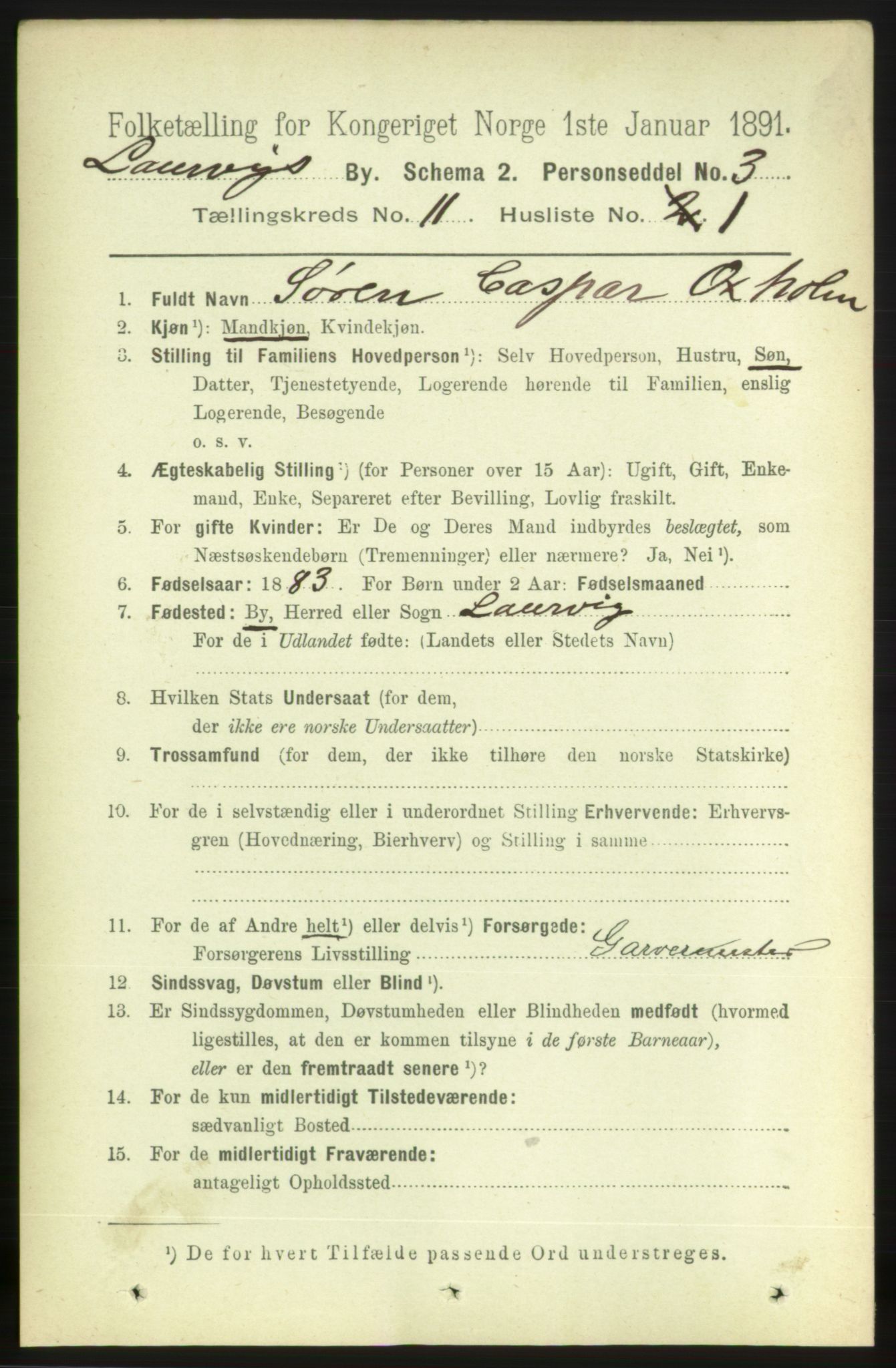 RA, 1891 census for 0707 Larvik, 1891, p. 9613