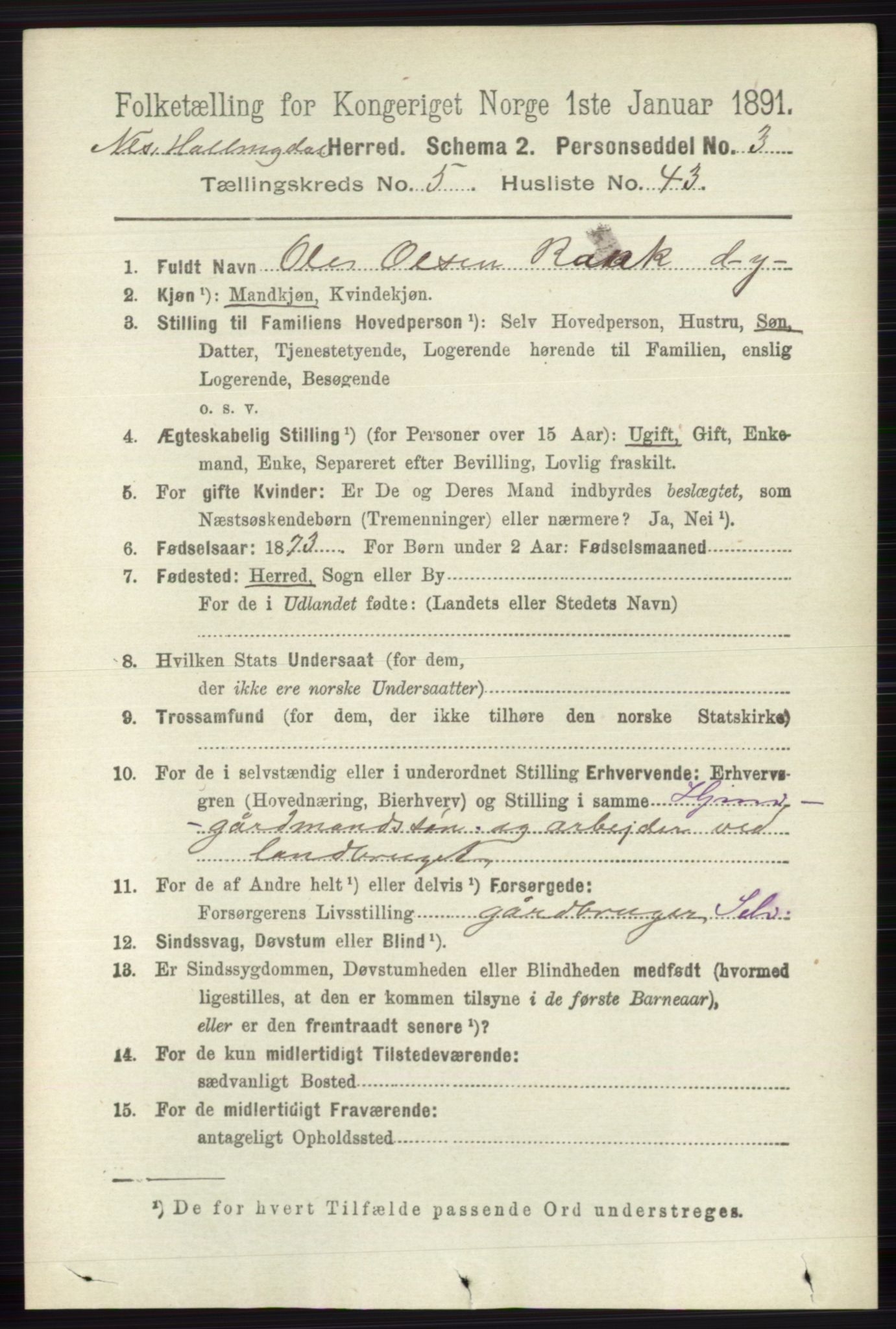 RA, 1891 census for 0616 Nes, 1891, p. 2864