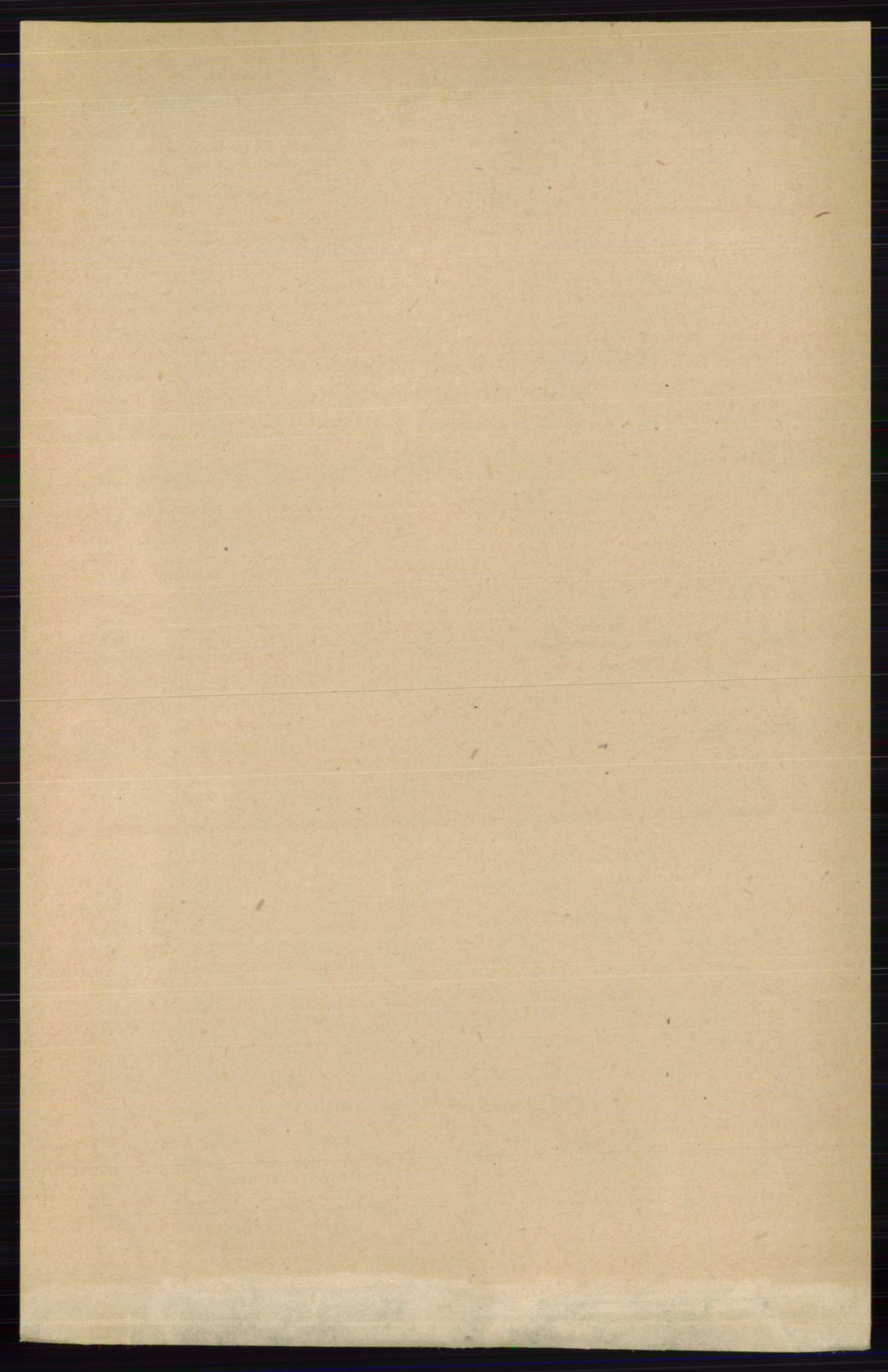 RA, 1891 census for 0425 Åsnes, 1891, p. 1025