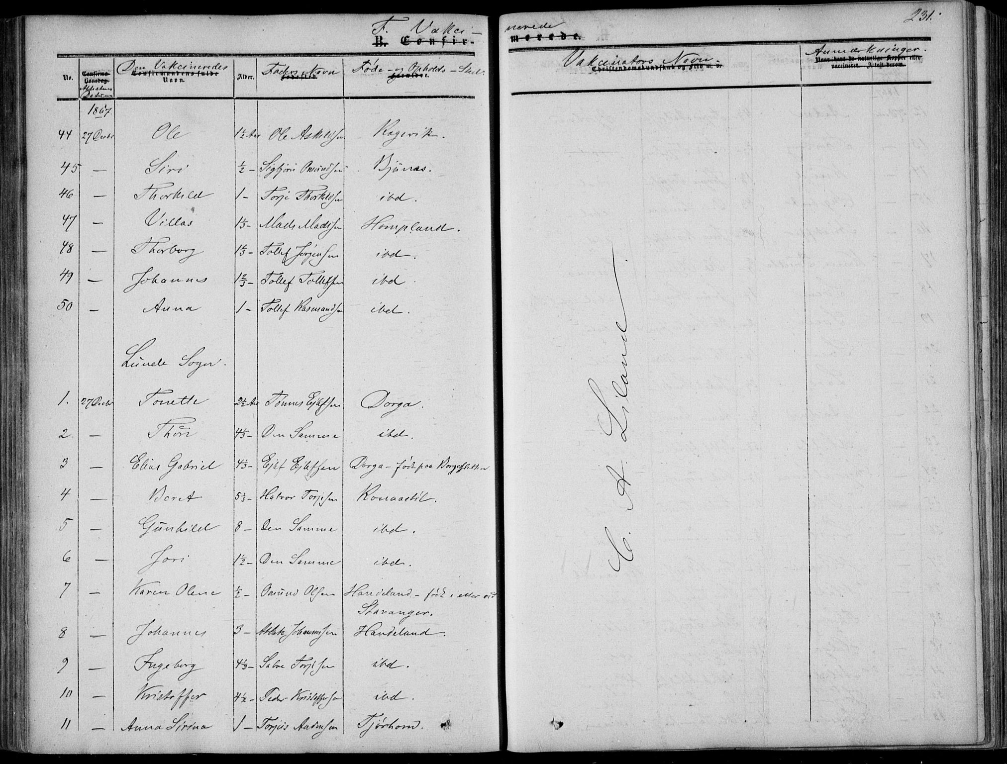 Sirdal sokneprestkontor, AV/SAK-1111-0036/F/Fa/Fab/L0002: Parish register (official) no. A 2, 1855-1874, p. 231