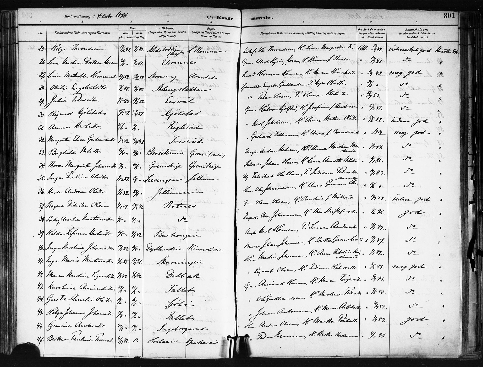 Nes prestekontor Kirkebøker, AV/SAO-A-10410/F/Fa/L0010: Parish register (official) no. I 10, 1883-1898, p. 301