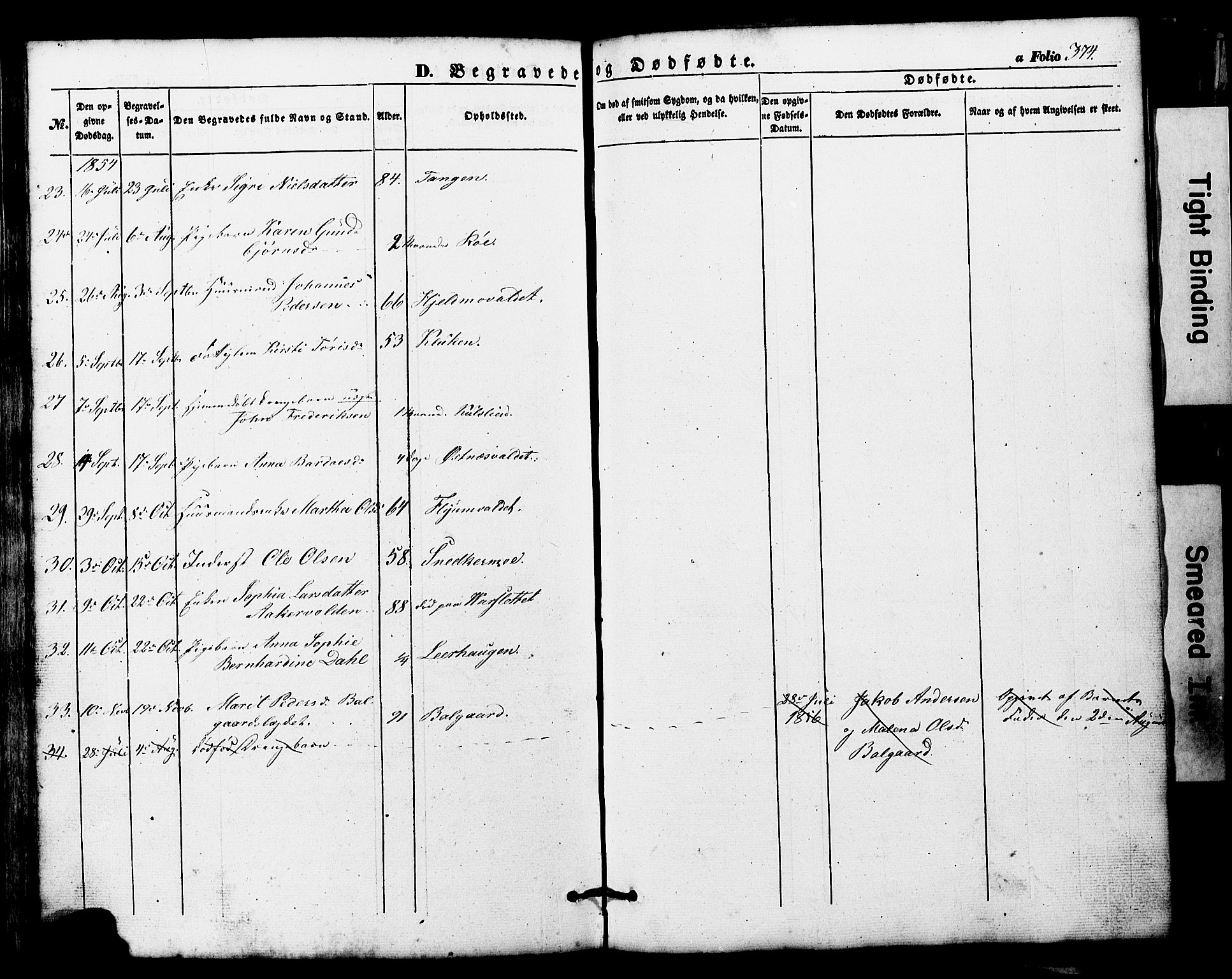 Ministerialprotokoller, klokkerbøker og fødselsregistre - Nord-Trøndelag, SAT/A-1458/724/L0268: Parish register (copy) no. 724C04, 1846-1878, p. 374