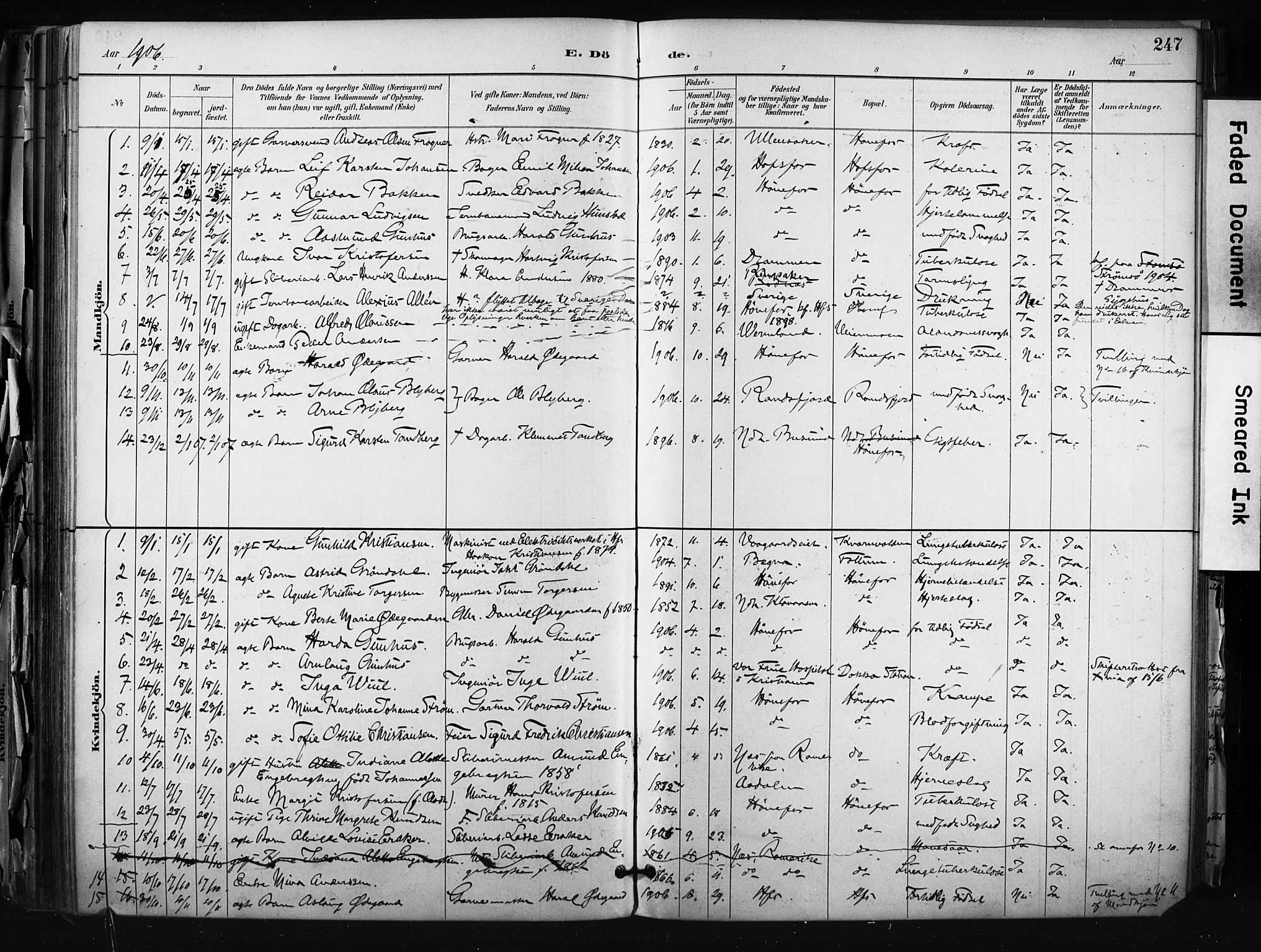 Hønefoss kirkebøker, AV/SAKO-A-609/F/Fa/L0002: Parish register (official) no. 2, 1887-1906, p. 247