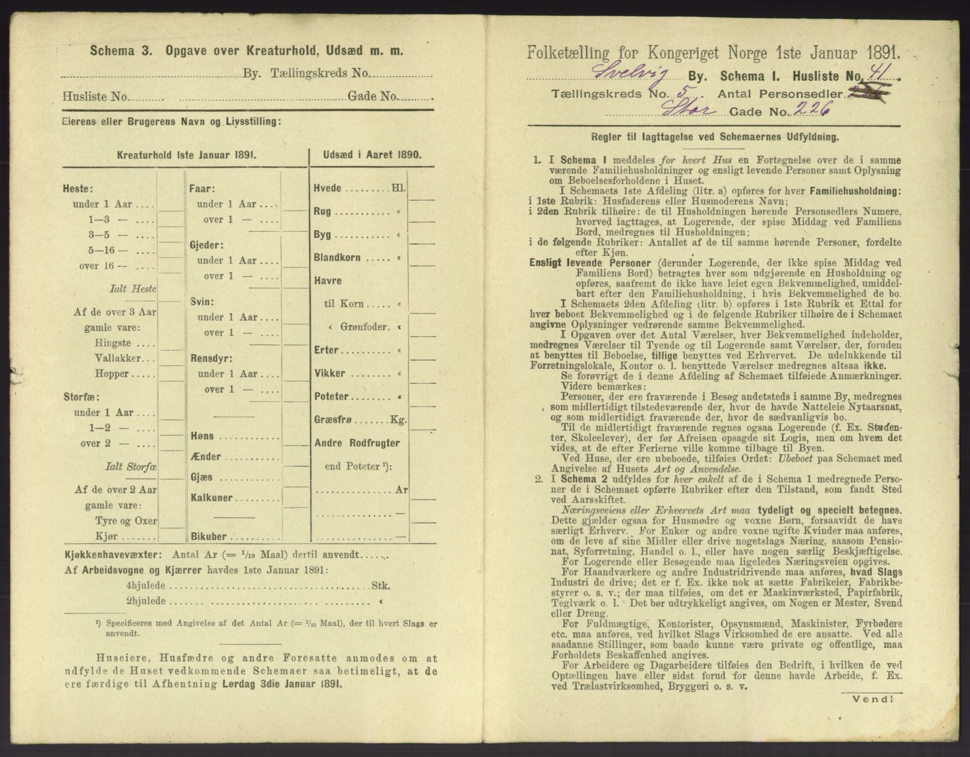 RA, 1891 census for 0701 Svelvik, 1891, p. 540