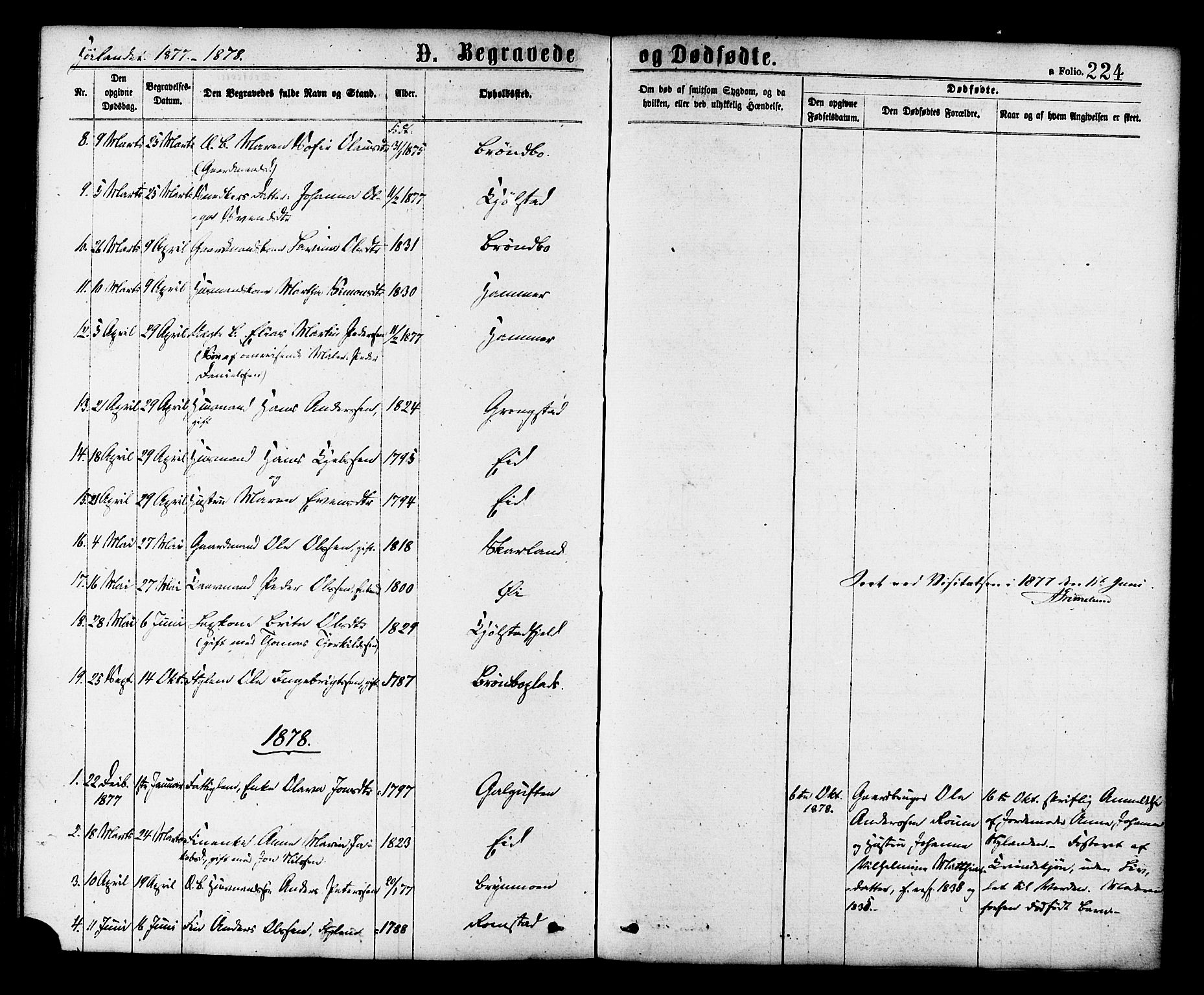 Ministerialprotokoller, klokkerbøker og fødselsregistre - Nord-Trøndelag, SAT/A-1458/758/L0516: Parish register (official) no. 758A03 /2, 1869-1879, p. 224