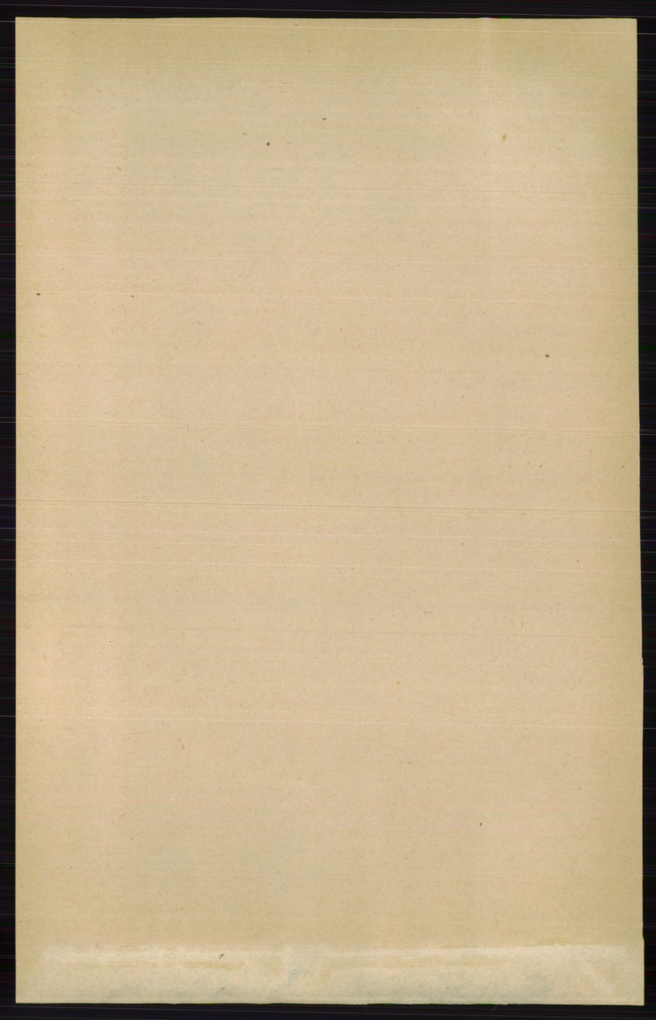 RA, 1891 census for 0436 Tolga, 1891, p. 3219