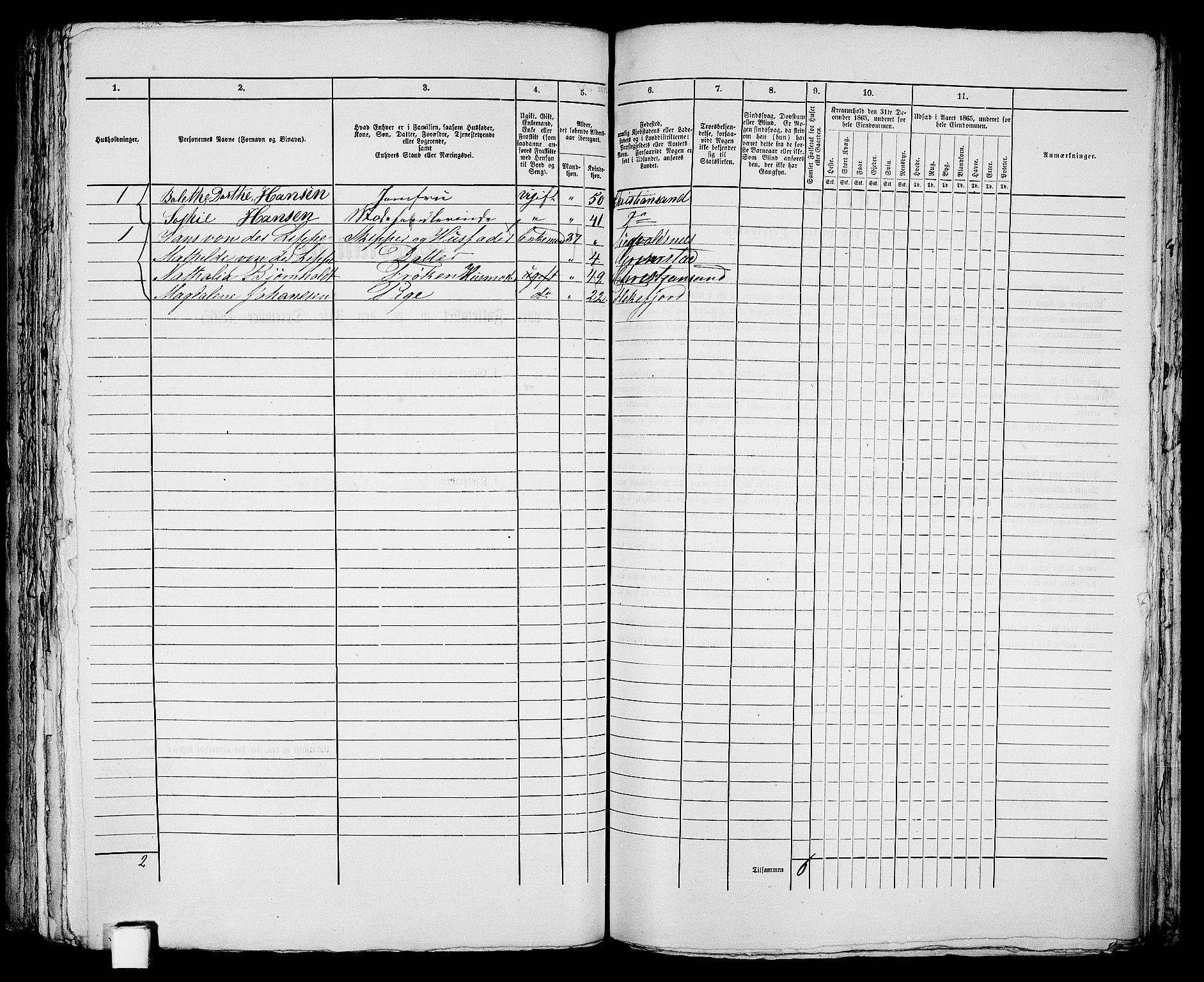 RA, 1865 census for Kristiansand, 1865, p. 367