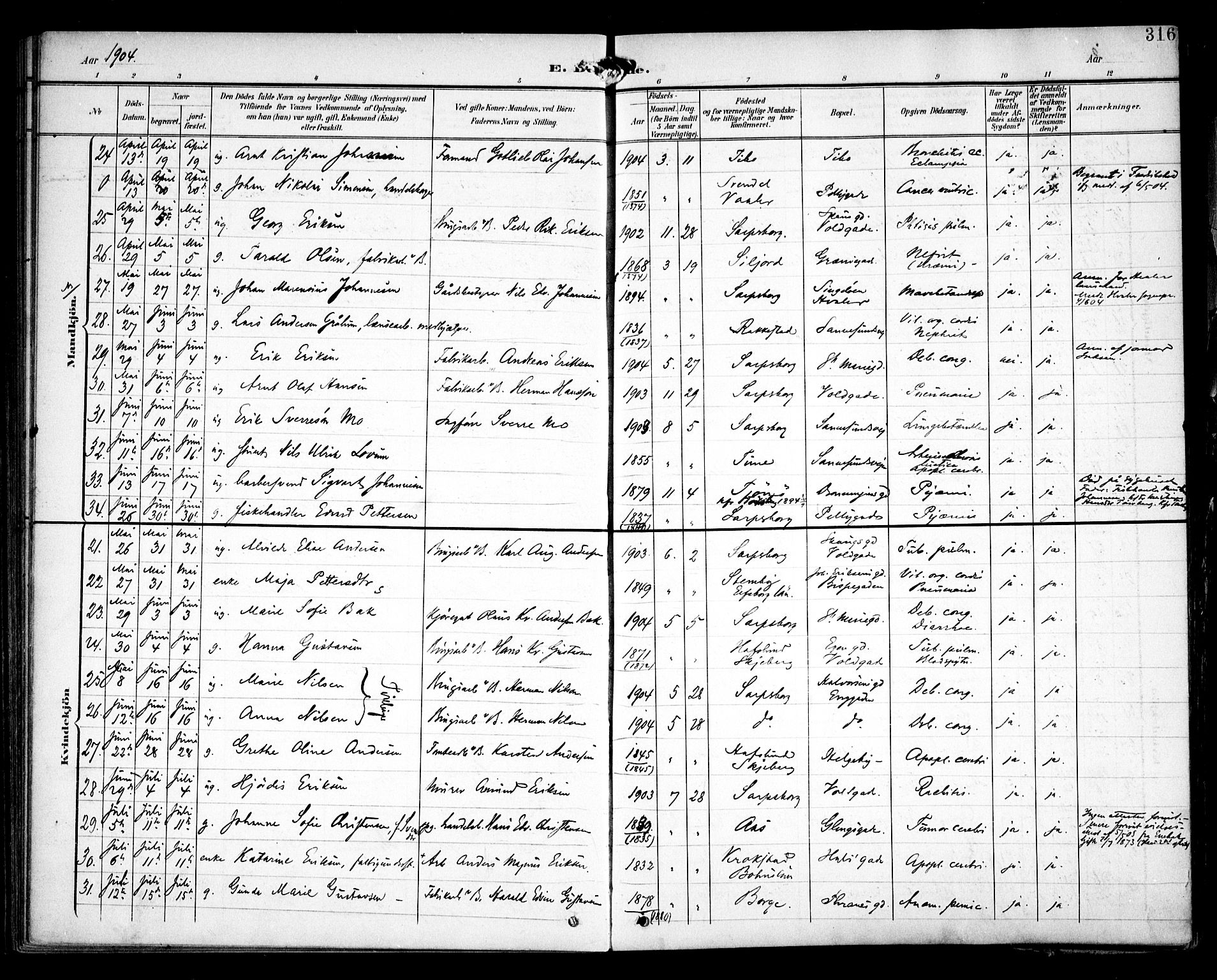 Sarpsborg prestekontor Kirkebøker, AV/SAO-A-2006/F/Fa/L0006: Parish register (official) no. 6, 1900-1909, p. 316