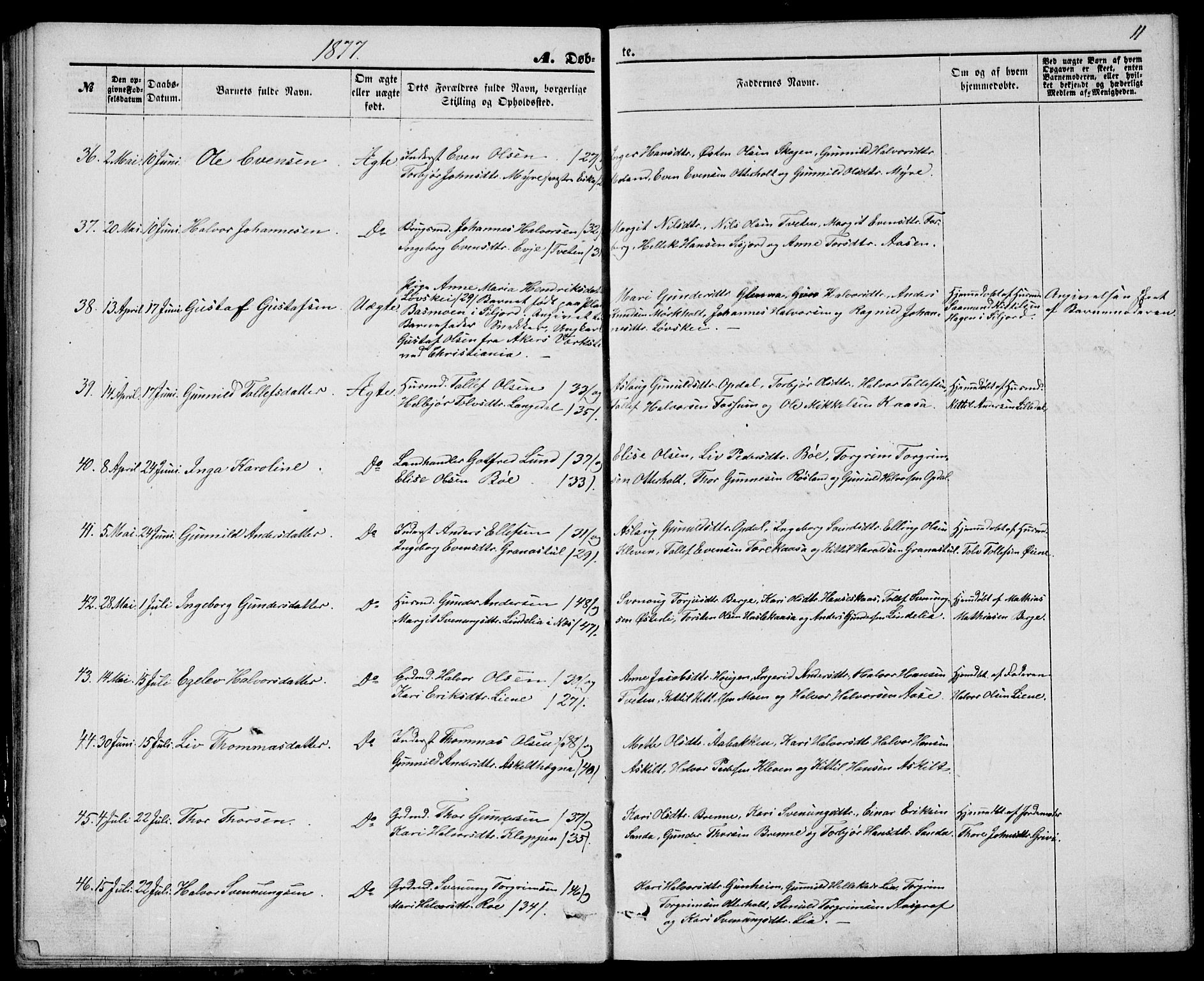 Bø kirkebøker, SAKO/A-257/G/Ga/L0004: Parish register (copy) no. 4, 1876-1882, p. 11