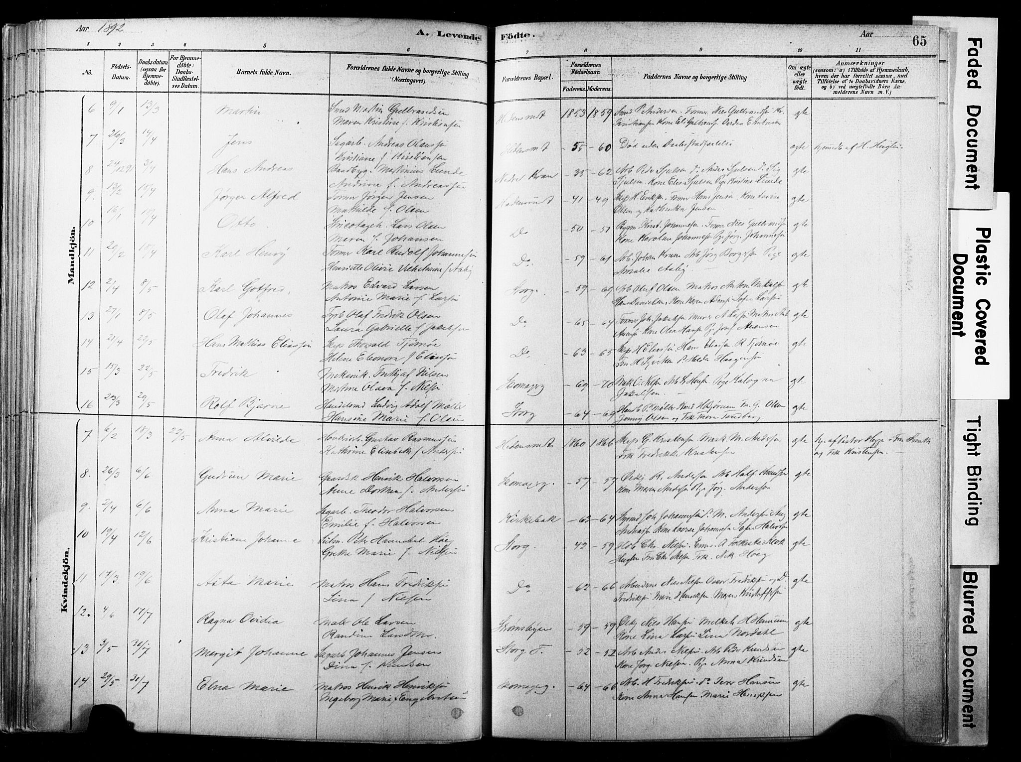 Strømsø kirkebøker, SAKO/A-246/F/Fb/L0006: Parish register (official) no. II 6, 1879-1910, p. 65