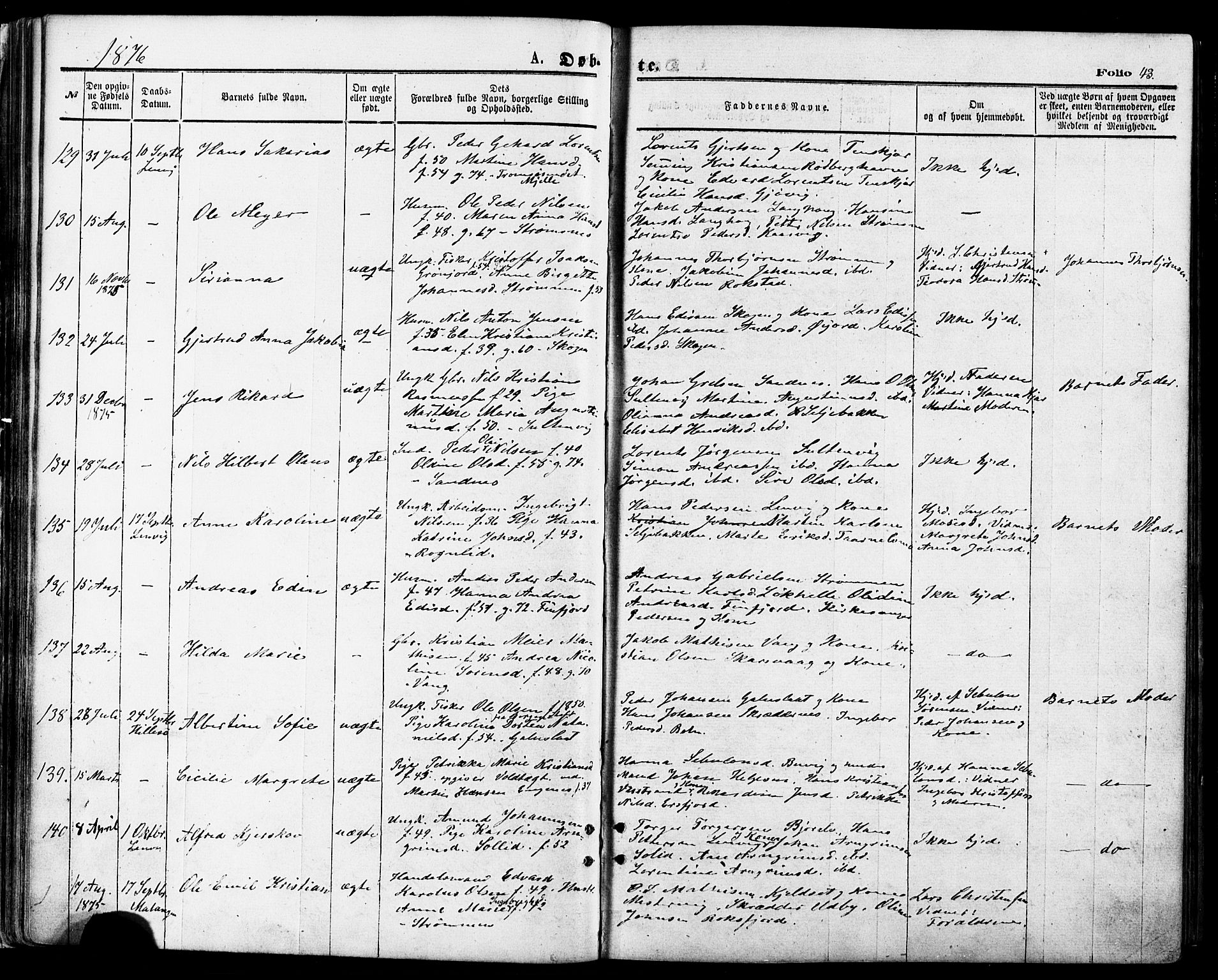 Lenvik sokneprestembete, SATØ/S-1310/H/Ha/Haa/L0010kirke: Parish register (official) no. 10, 1873-1880, p. 43