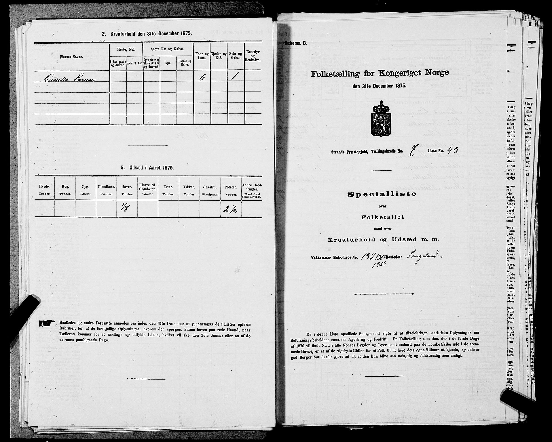 SAST, 1875 census for 1130P Strand, 1875, p. 650