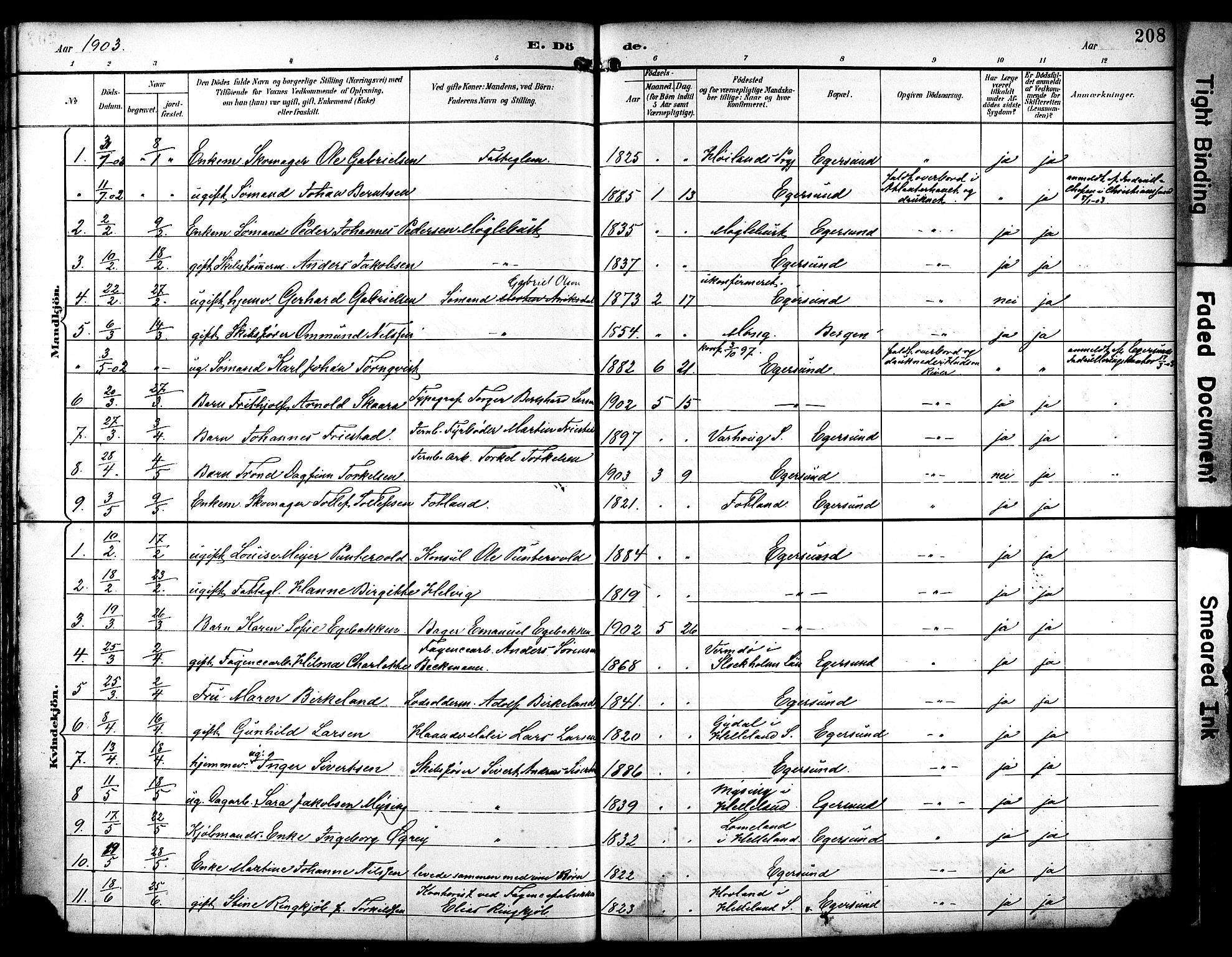 Eigersund sokneprestkontor, AV/SAST-A-101807/S08/L0019: Parish register (official) no. A 18, 1892-1905, p. 208