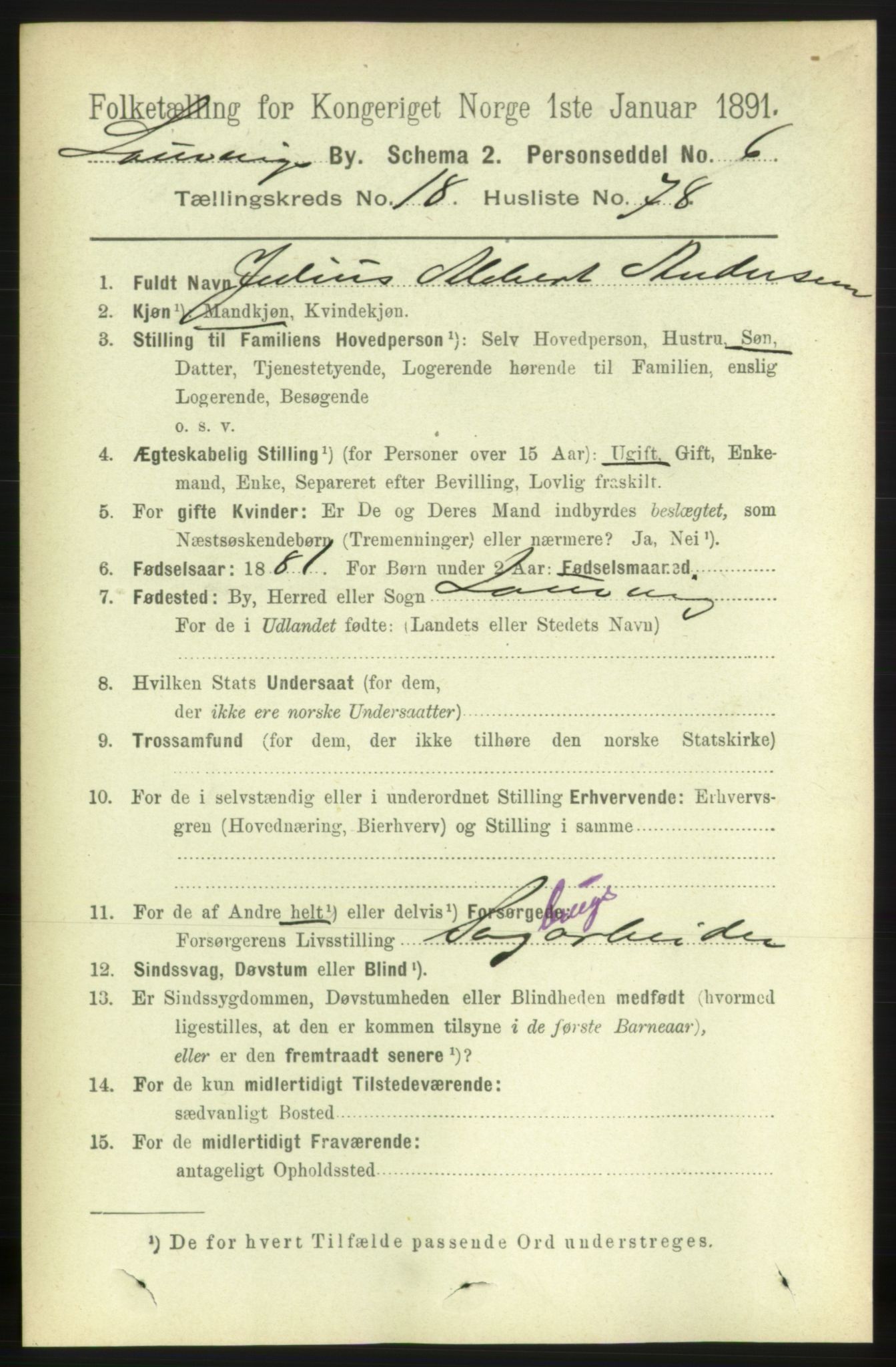 RA, 1891 census for 0707 Larvik, 1891, p. 13881