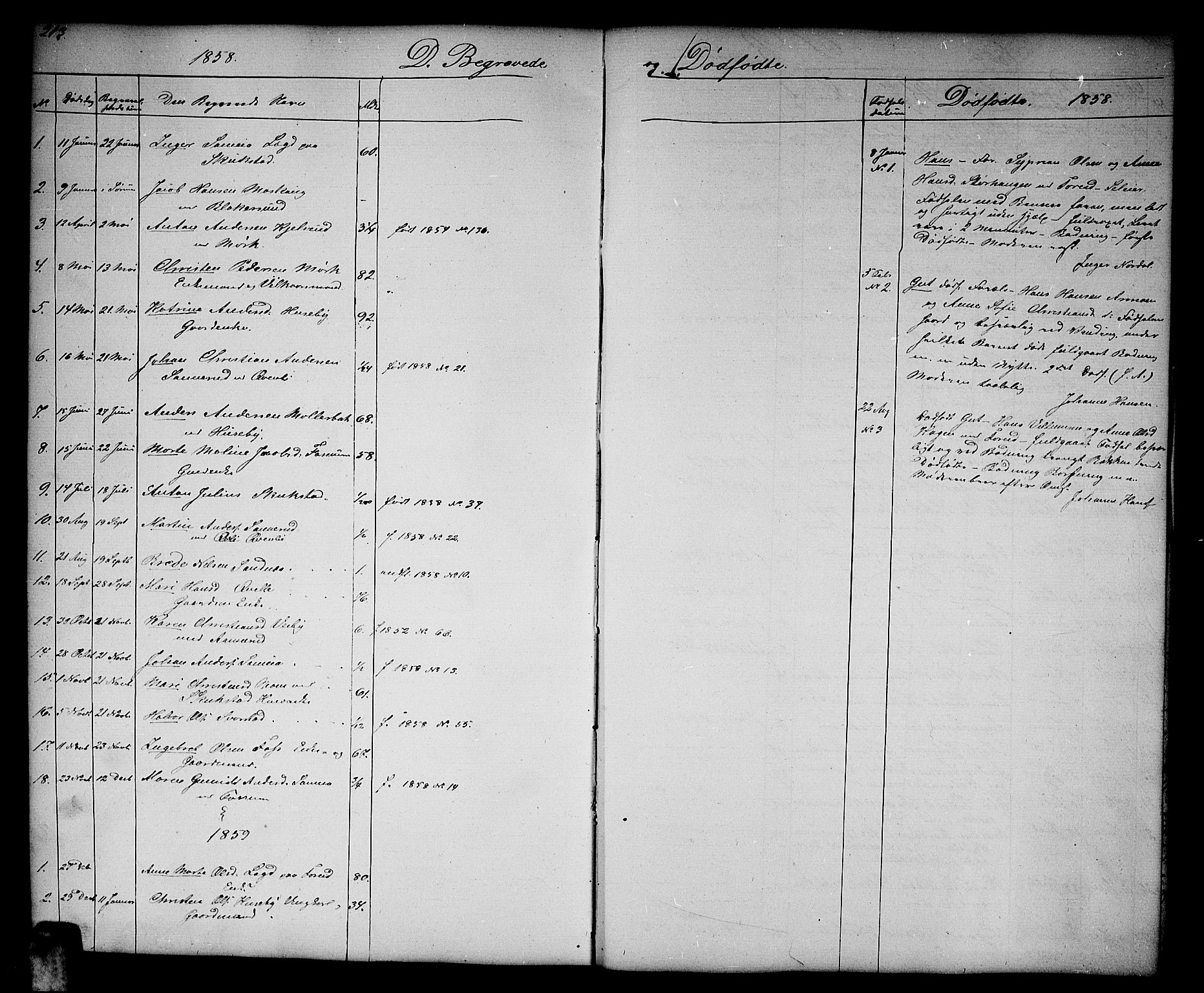 Aurskog prestekontor Kirkebøker, SAO/A-10304a/G/Gb/L0001: Parish register (copy) no. II 1, 1858-1885, p. 213