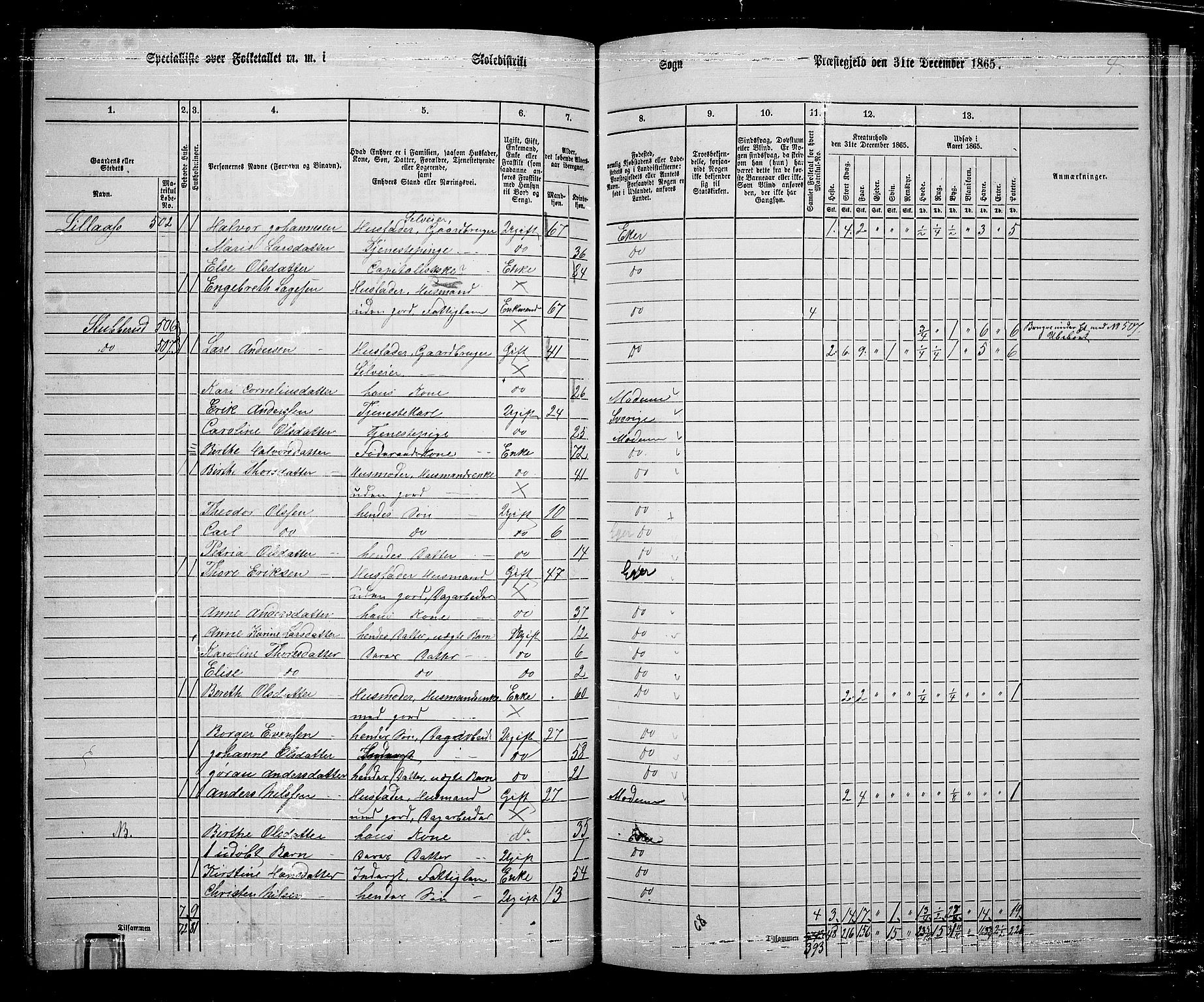 RA, 1865 census for Eiker, 1865, p. 121