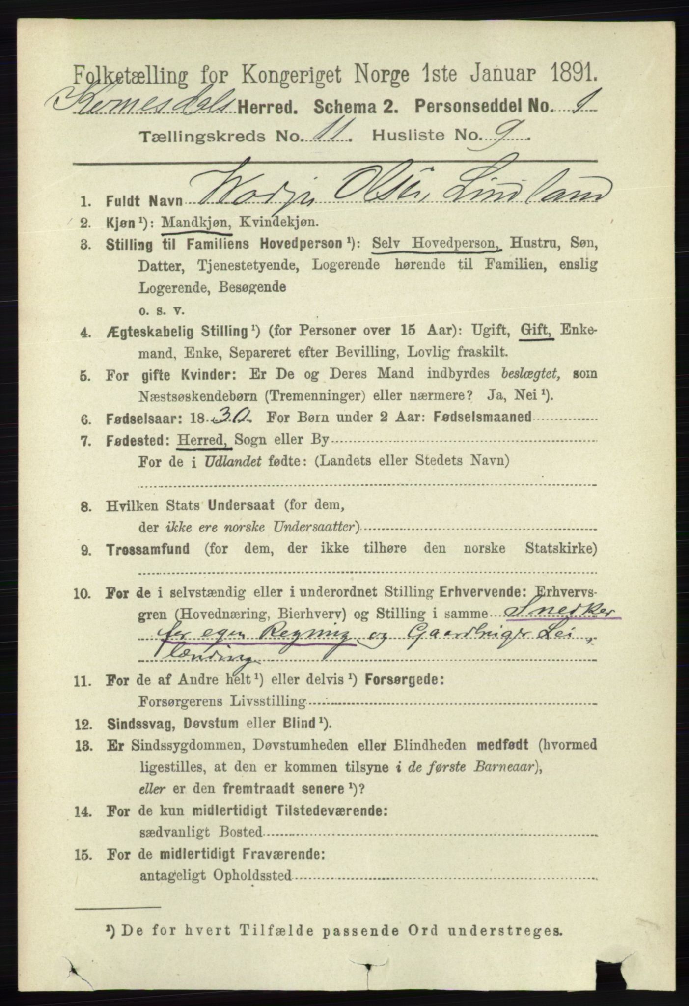 RA, 1891 census for 1037 Kvinesdal, 1891, p. 4552