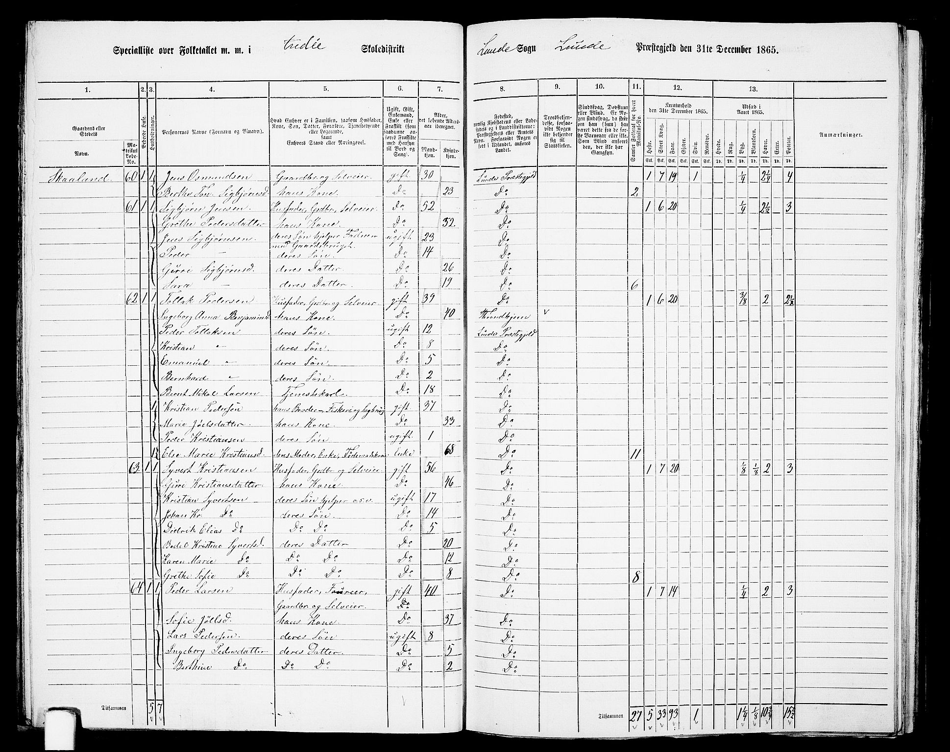 RA, 1865 census for Lund, 1865, p. 31