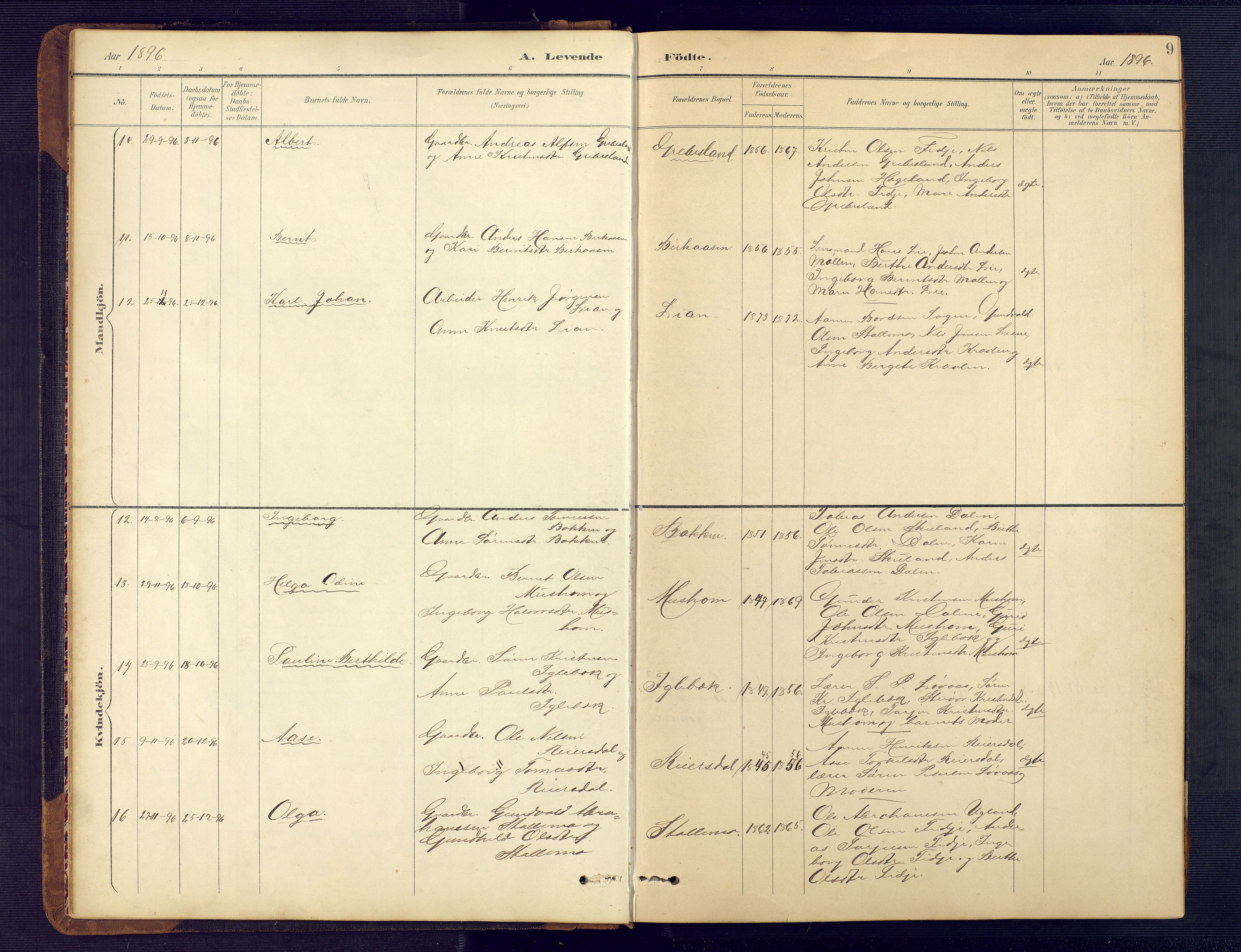 Vennesla sokneprestkontor, AV/SAK-1111-0045/Fb/Fbc/L0003: Parish register (copy) no. B 3, 1895-1946, p. 9