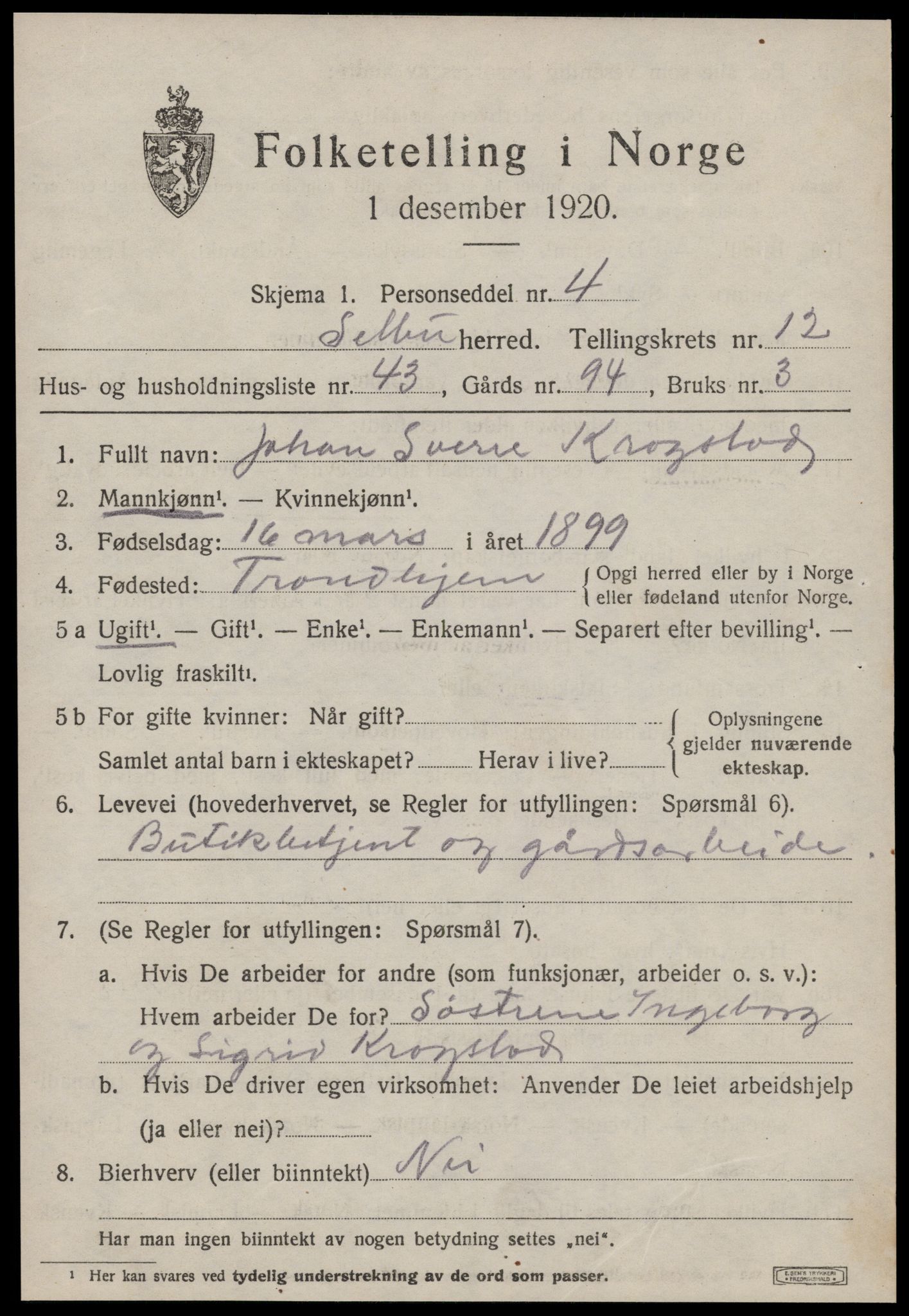 SAT, 1920 census for Selbu, 1920, p. 6996