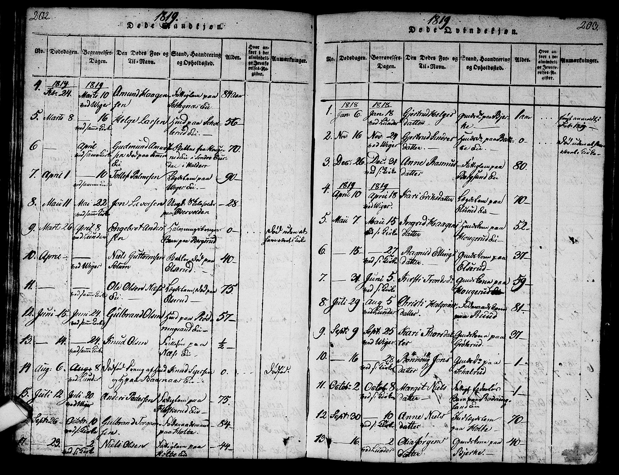 Norderhov kirkebøker, AV/SAKO-A-237/G/Ga/L0003: Parish register (copy) no. I 3 /2, 1814-1876, p. 202-203