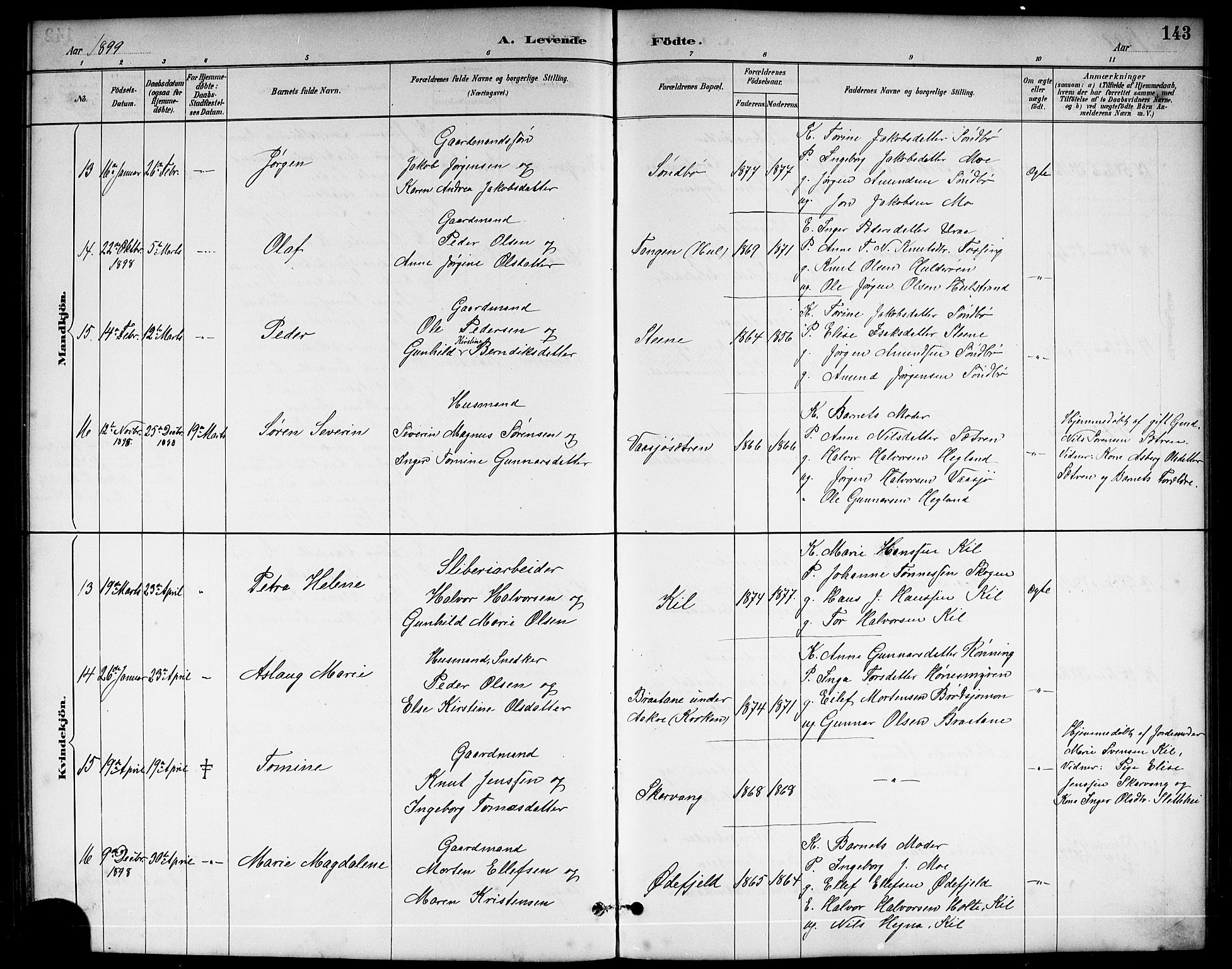 Sannidal kirkebøker, AV/SAKO-A-296/G/Ga/L0003: Parish register (copy) no. 3, 1887-1922, p. 143