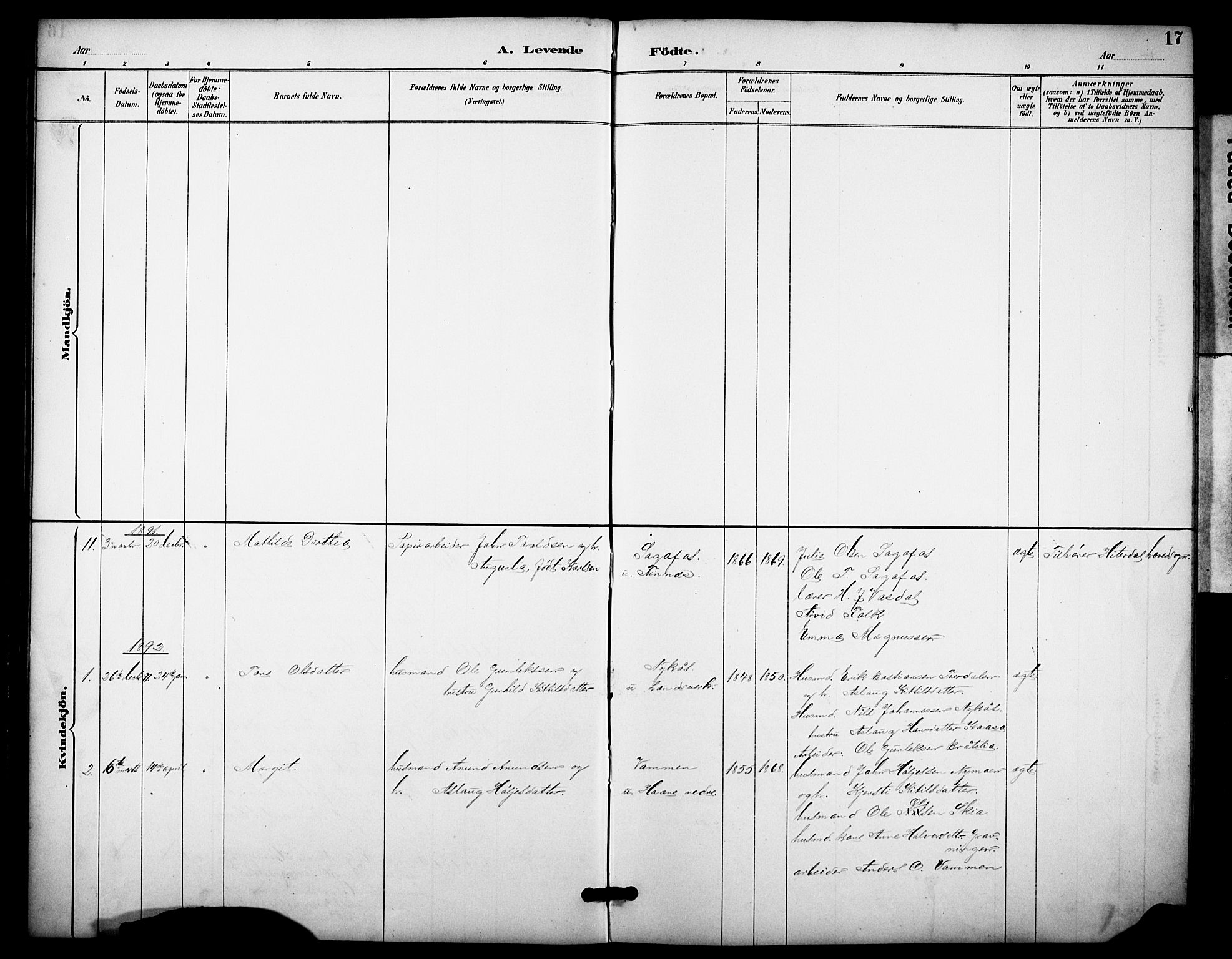 Heddal kirkebøker, SAKO/A-268/F/Fb/L0001: Parish register (official) no. II 1, 1884-1910, p. 17
