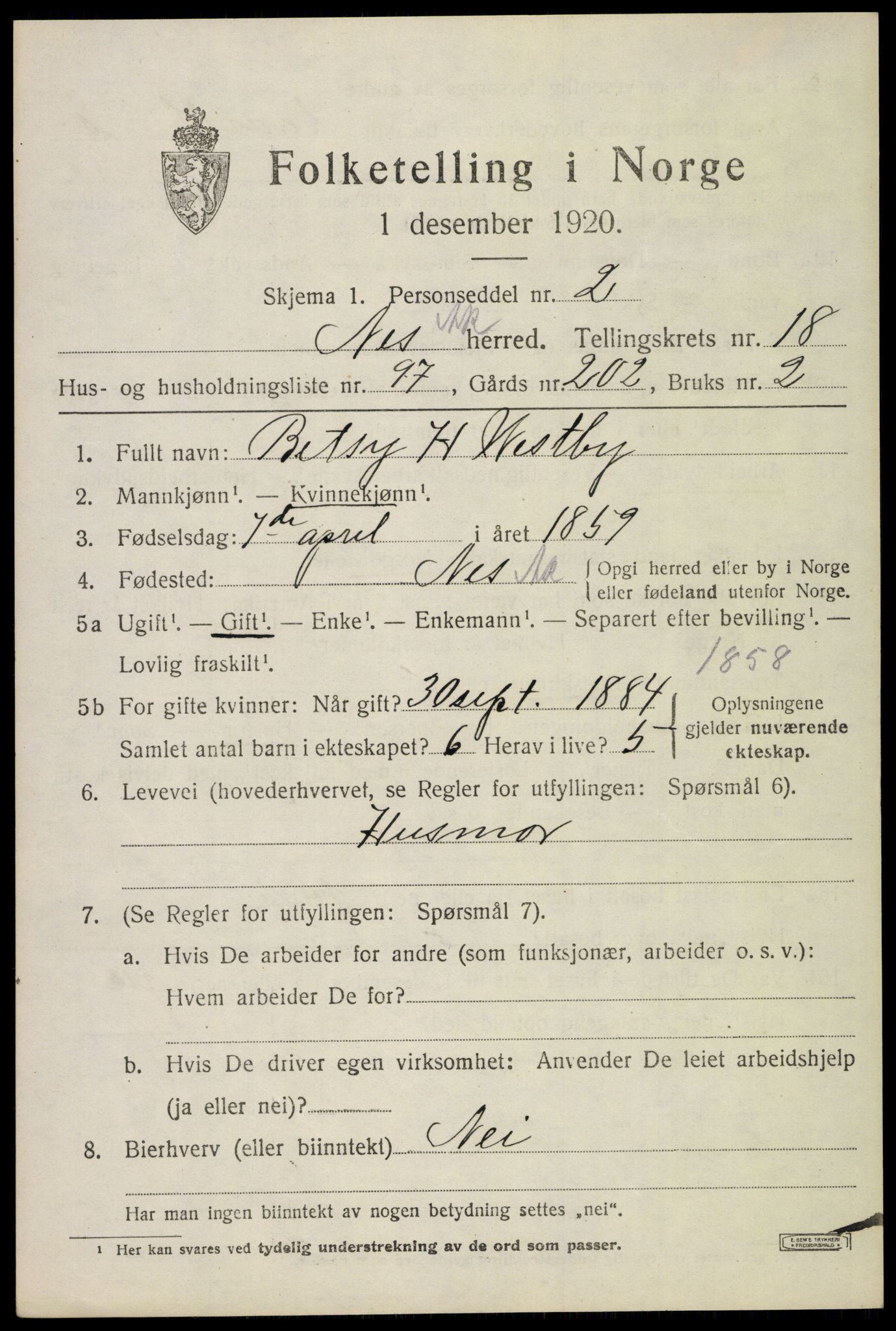 SAO, 1920 census for Nes, 1920, p. 18902