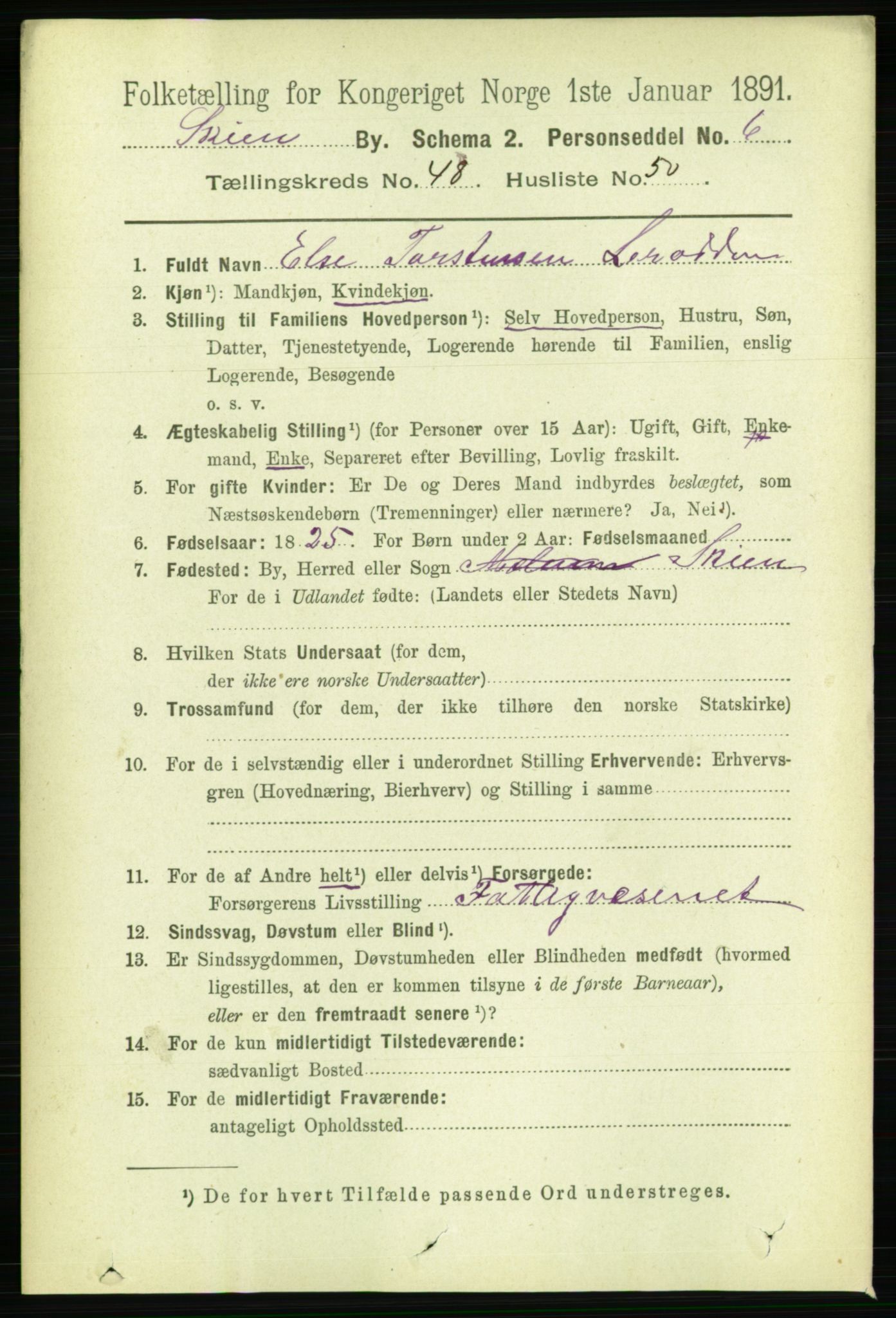 RA, 1891 census for 0806 Skien, 1891, p. 10283