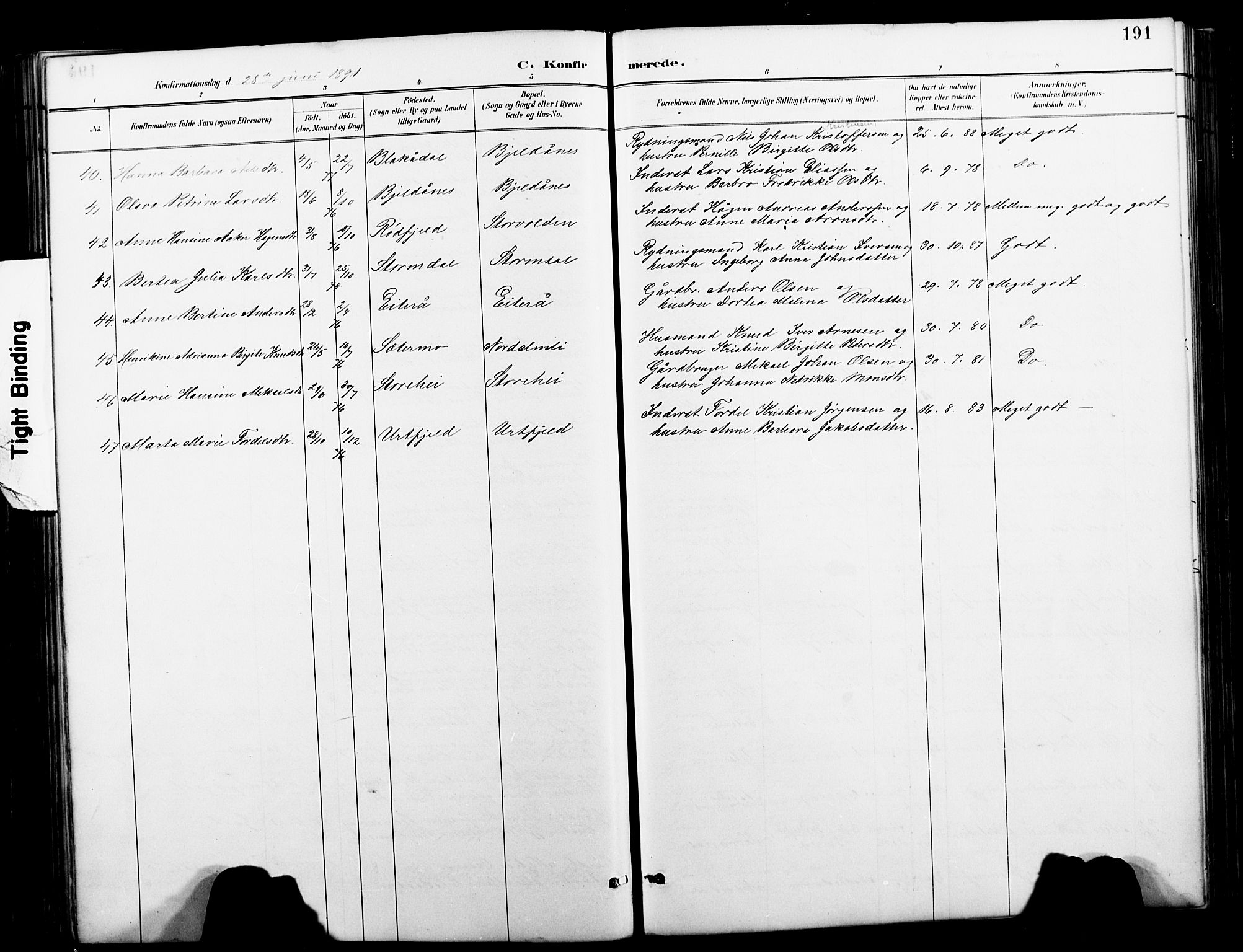 Ministerialprotokoller, klokkerbøker og fødselsregistre - Nordland, AV/SAT-A-1459/827/L0421: Parish register (copy) no. 827C10, 1887-1906, p. 191