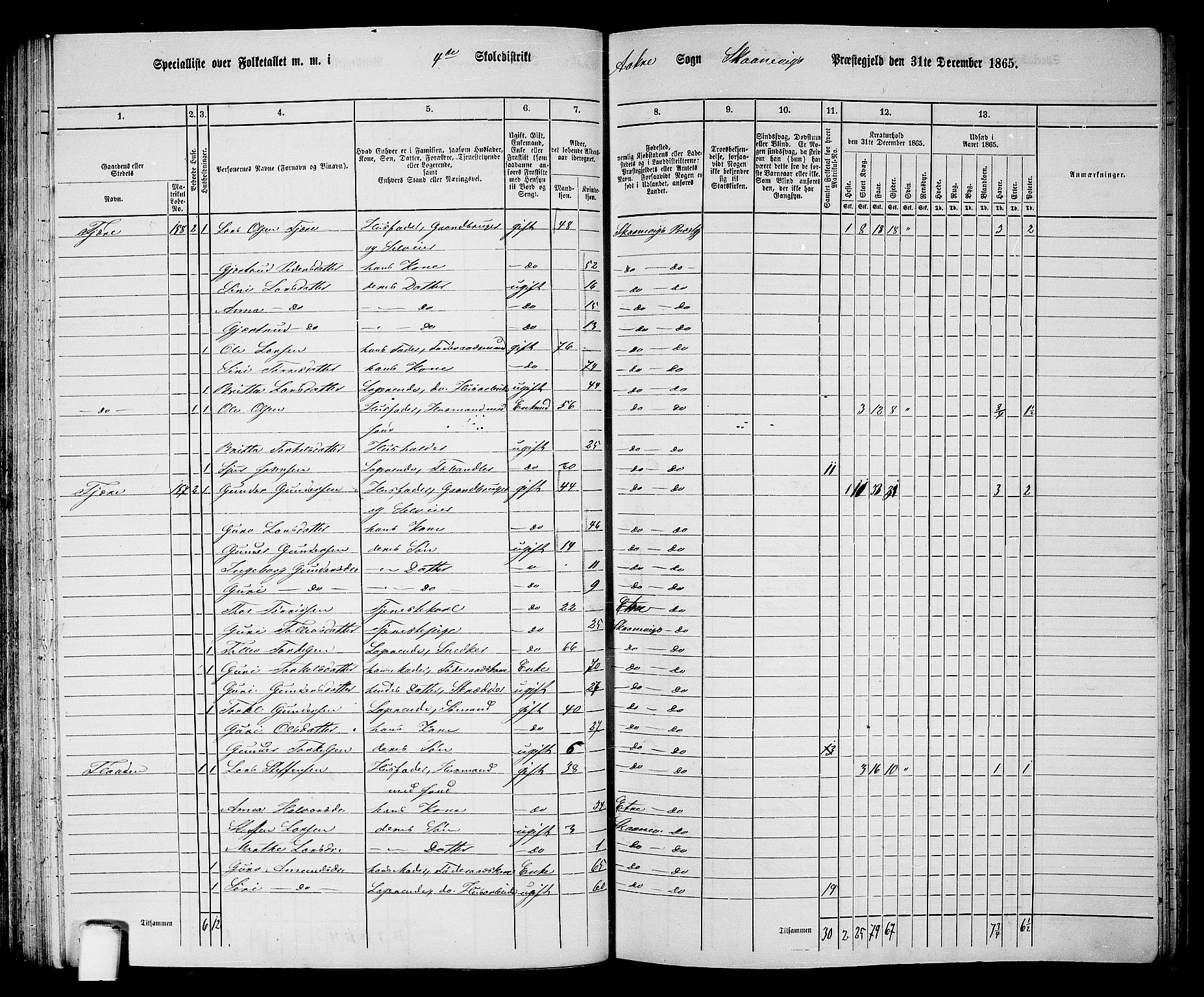 RA, 1865 census for Skånevik, 1865, p. 67