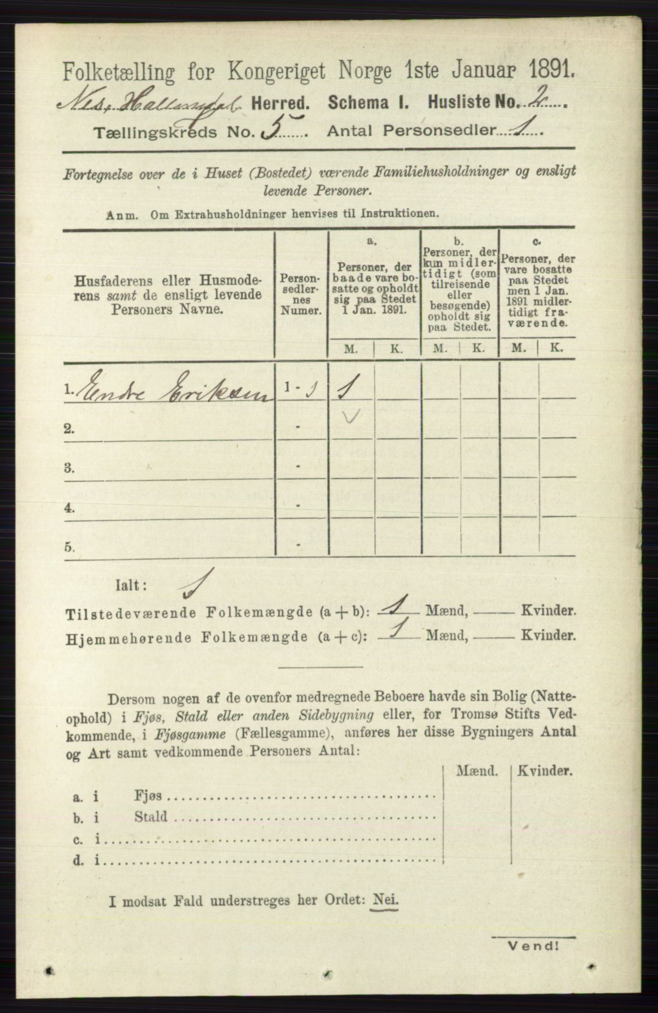 RA, 1891 census for 0616 Nes, 1891, p. 2575