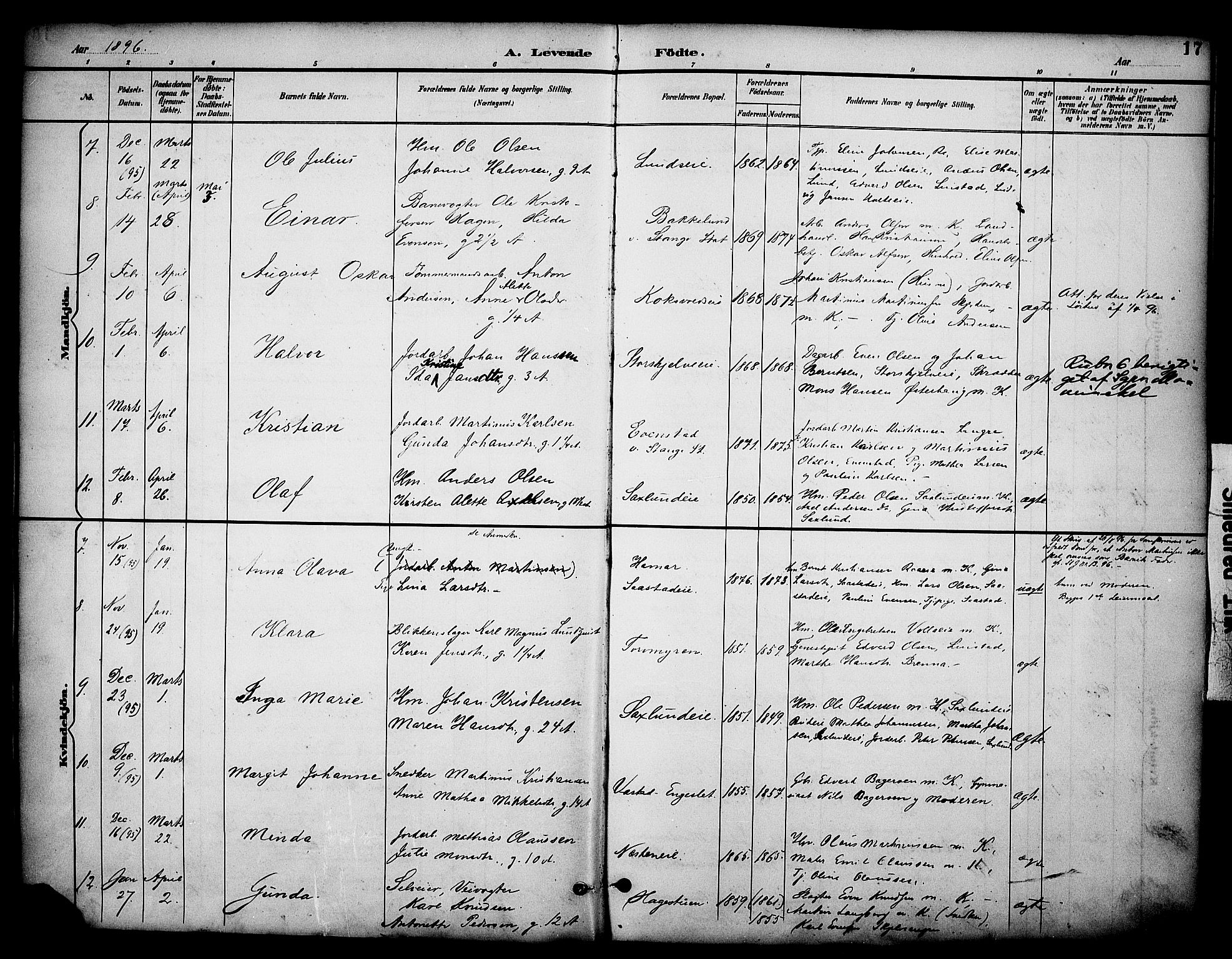 Stange prestekontor, AV/SAH-PREST-002/K/L0020: Parish register (official) no. 20, 1894-1905, p. 17