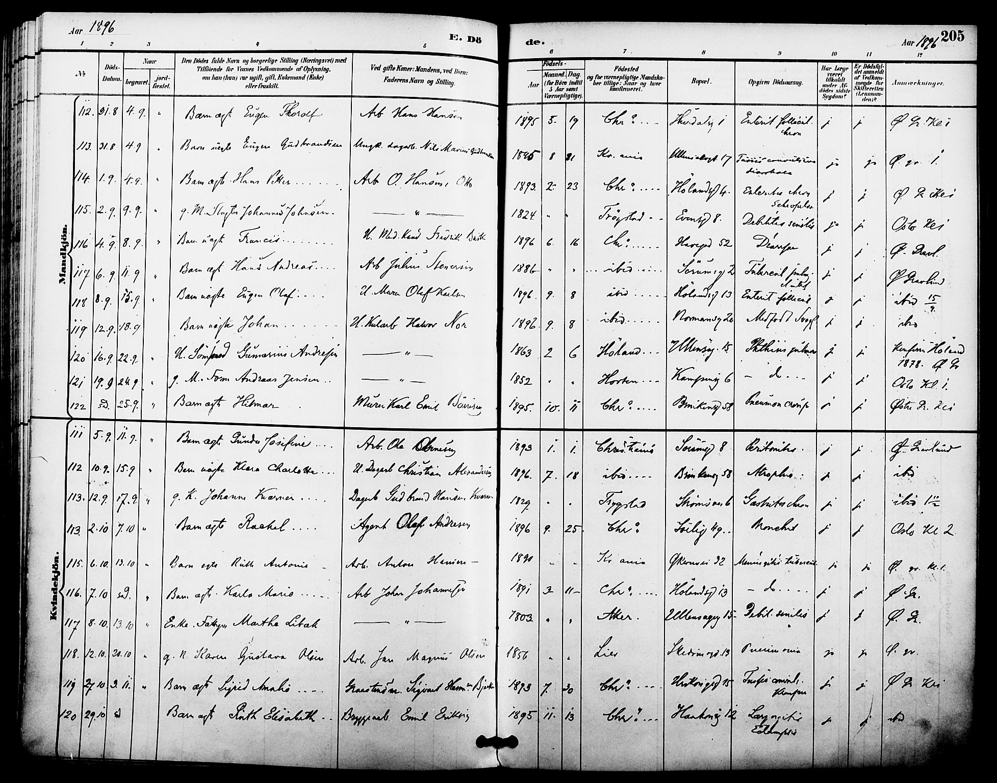 Kampen prestekontor Kirkebøker, AV/SAO-A-10853/F/Fa/L0008: Parish register (official) no. I 8, 1892-1902, p. 205