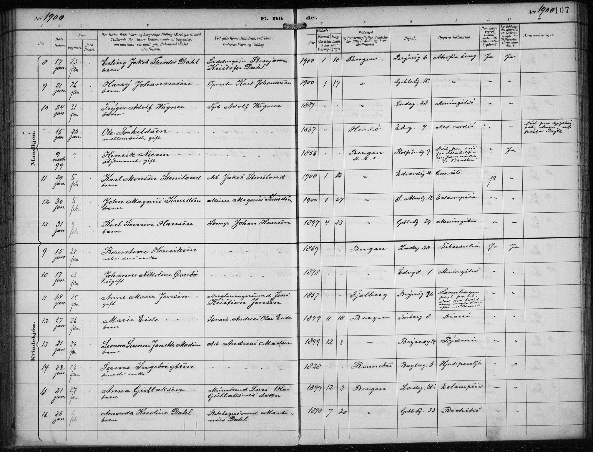 Sandviken Sokneprestembete, SAB/A-77601/H/Ha/L0018: Parish register (official) no. E 1, 1893-1905, p. 107