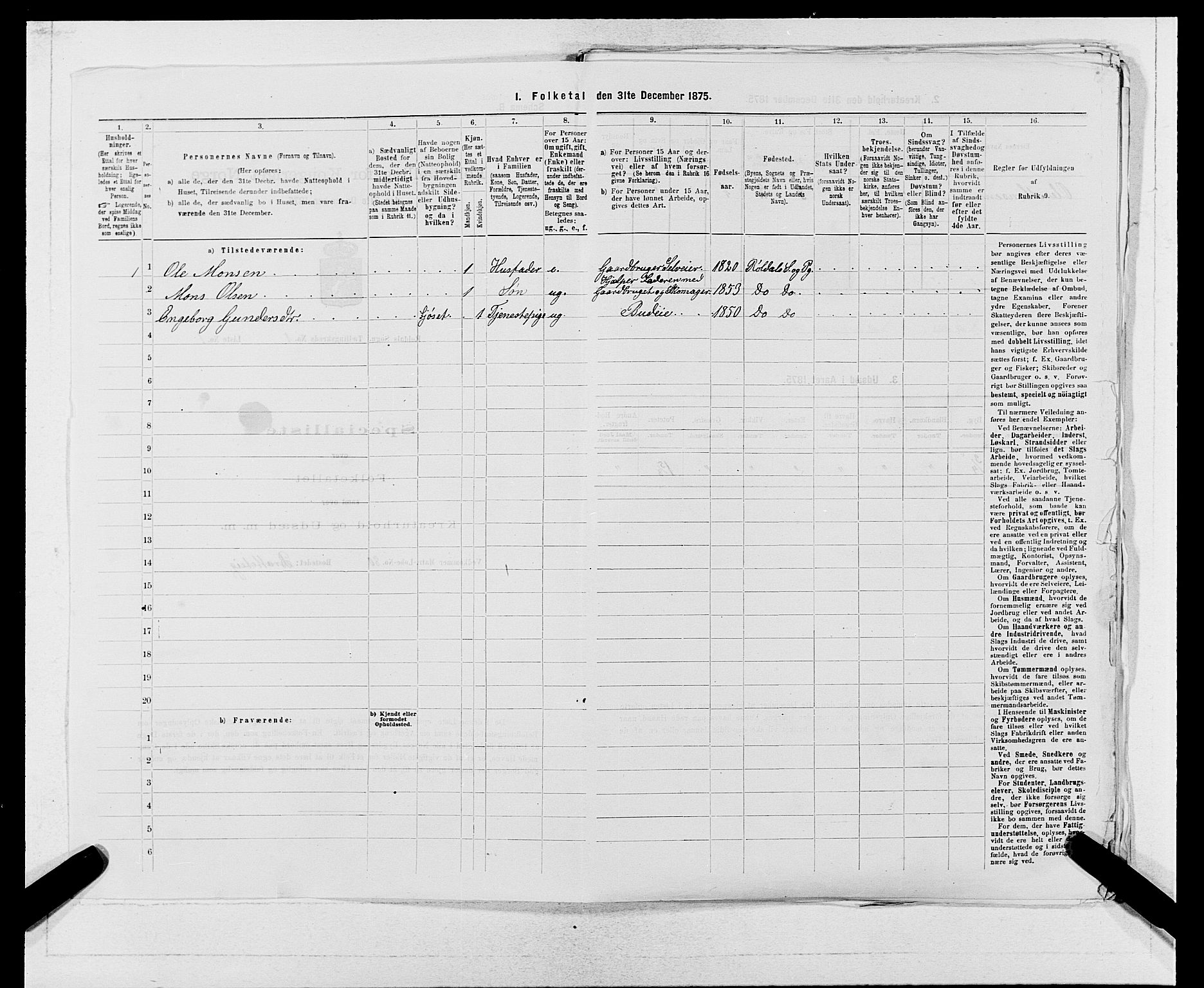 SAB, 1875 census for 1229P Røldal, 1875, p. 12