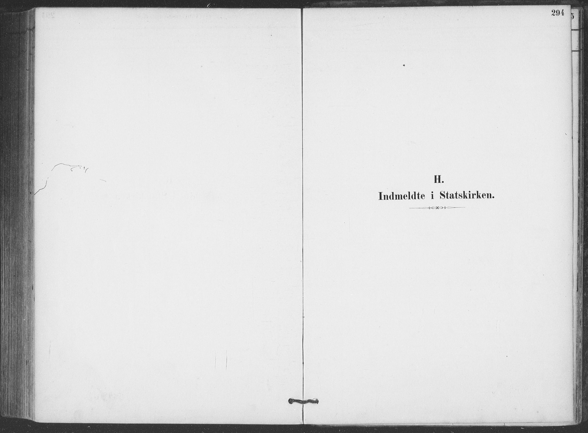 Hjartdal kirkebøker, AV/SAKO-A-270/F/Fa/L0010: Parish register (official) no. I 10, 1880-1929, p. 294