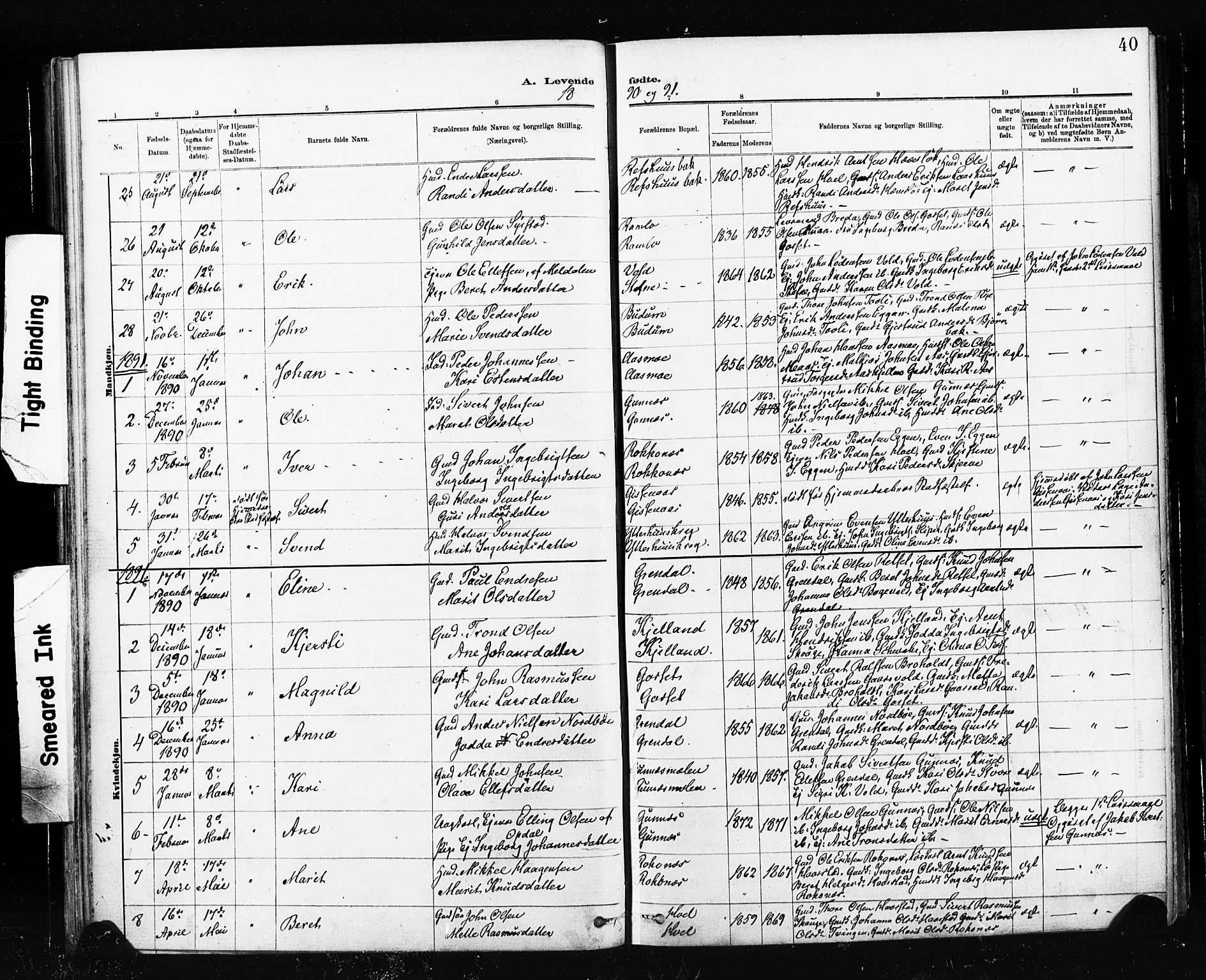 Ministerialprotokoller, klokkerbøker og fødselsregistre - Sør-Trøndelag, SAT/A-1456/674/L0871: Parish register (official) no. 674A03, 1880-1896, p. 40