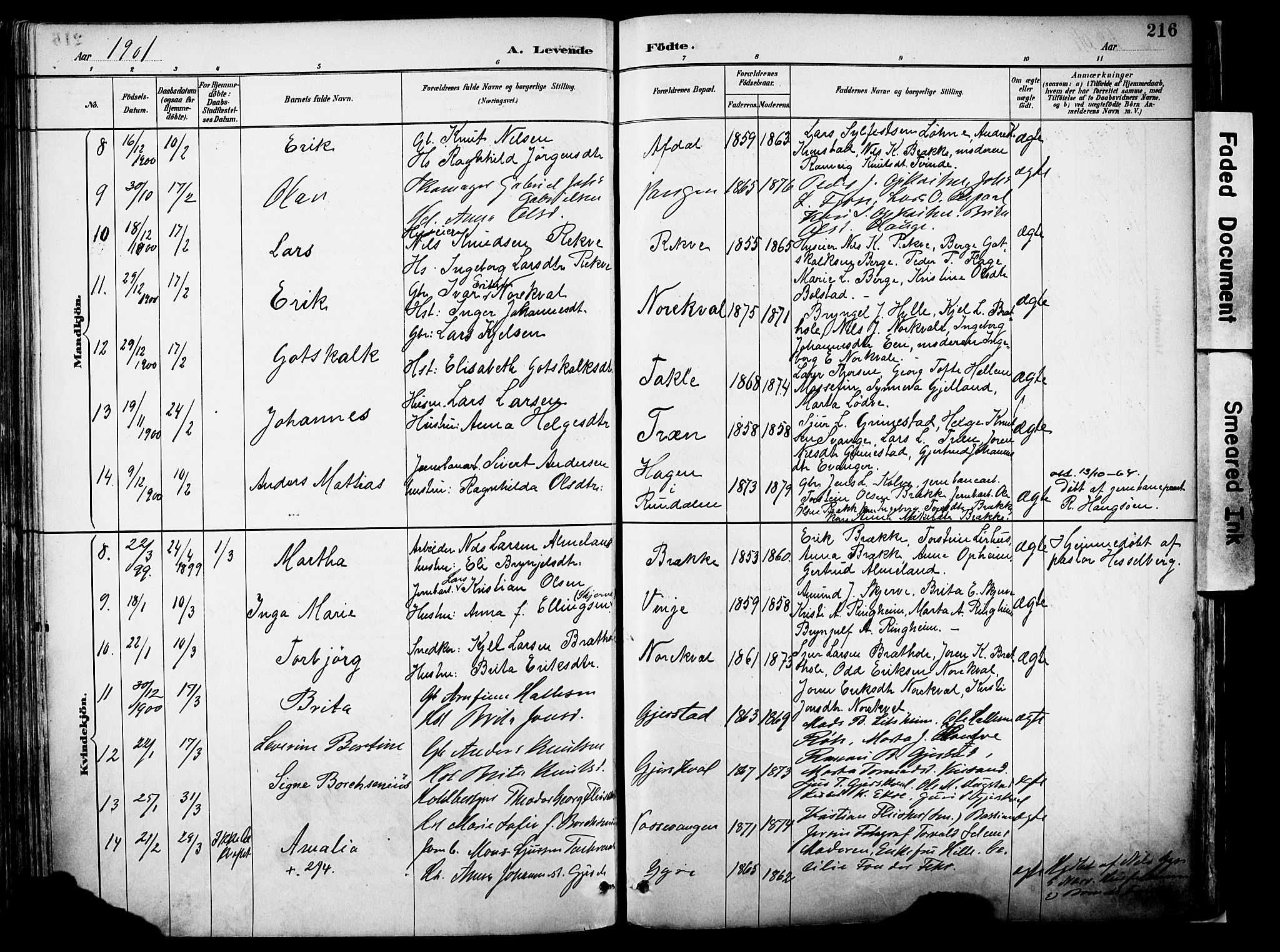 Voss sokneprestembete, AV/SAB-A-79001/H/Haa: Parish register (official) no. A 21, 1887-1903, p. 216