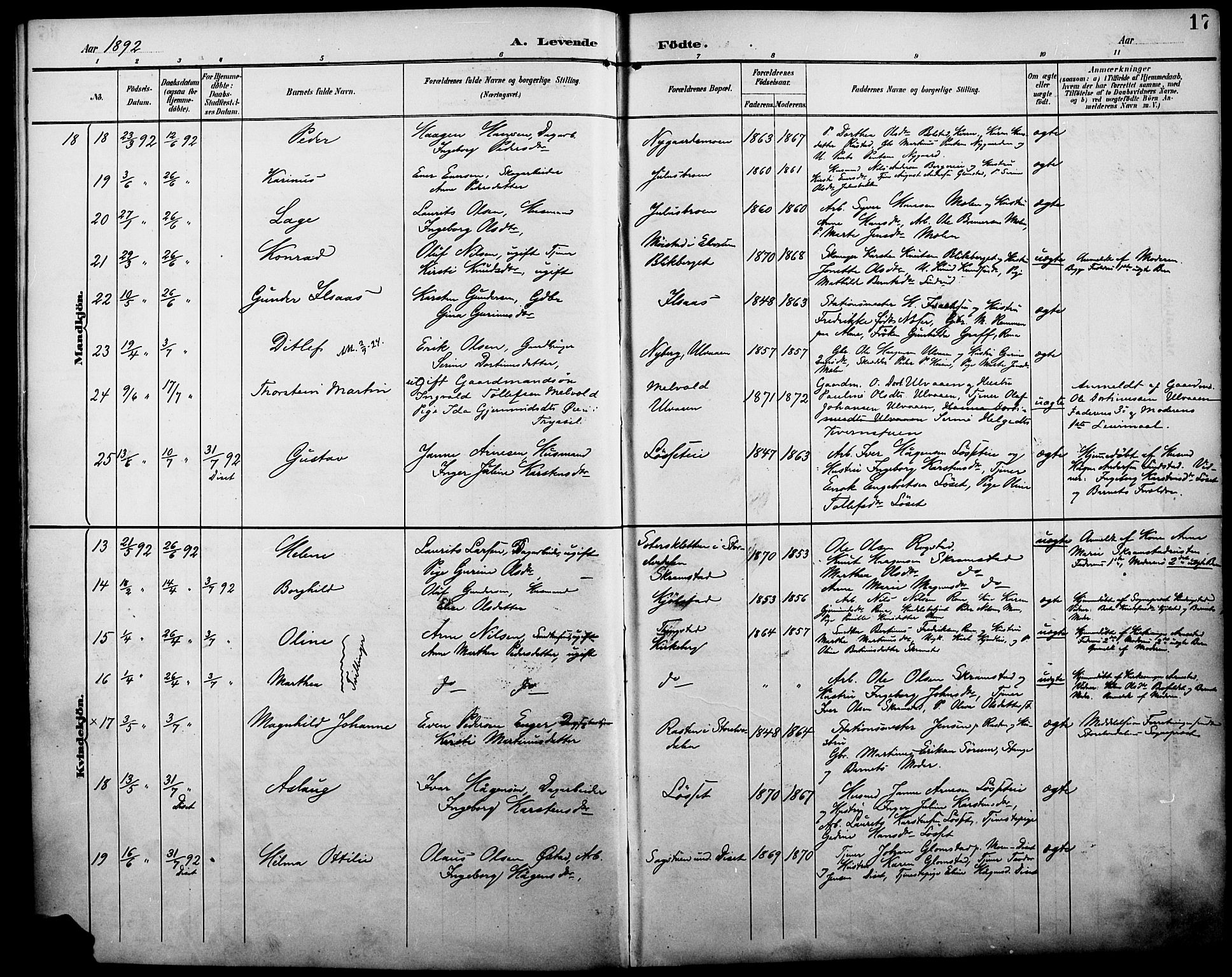 Åmot prestekontor, Hedmark, AV/SAH-PREST-056/H/Ha/Haa/L0011: Parish register (official) no. 11, 1890-1897, p. 17