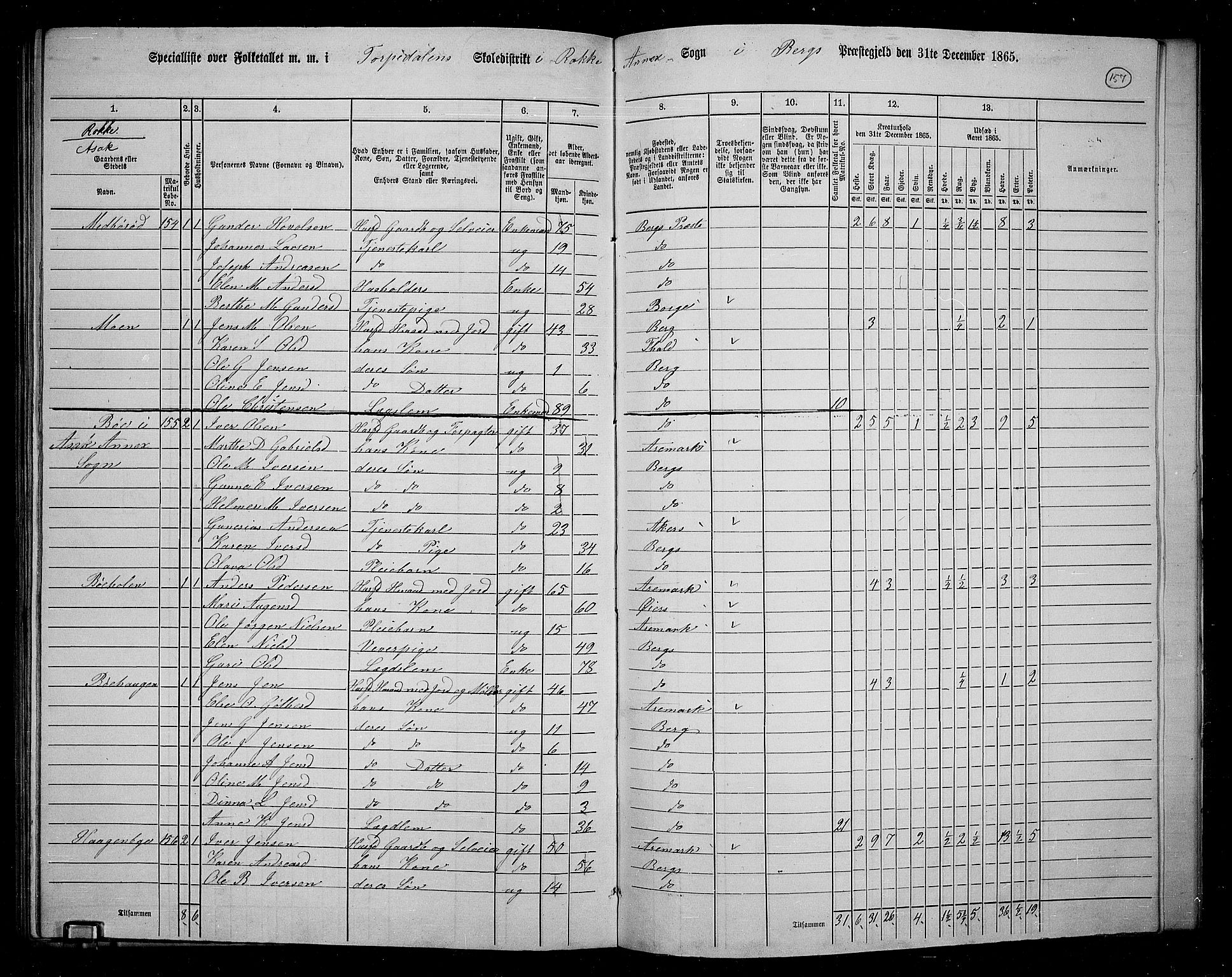 RA, 1865 census for Berg, 1865, p. 135