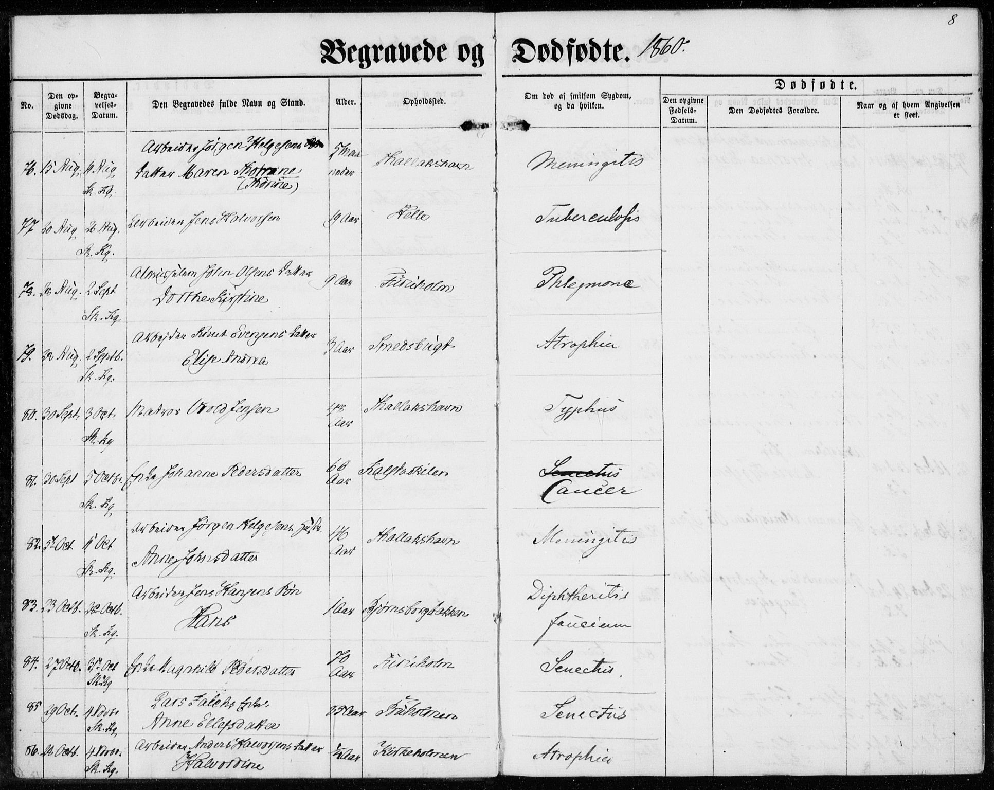 Sannidal kirkebøker, AV/SAKO-A-296/F/Fa/L0012: Parish register (official) no. 12, 1860-1873, p. 8